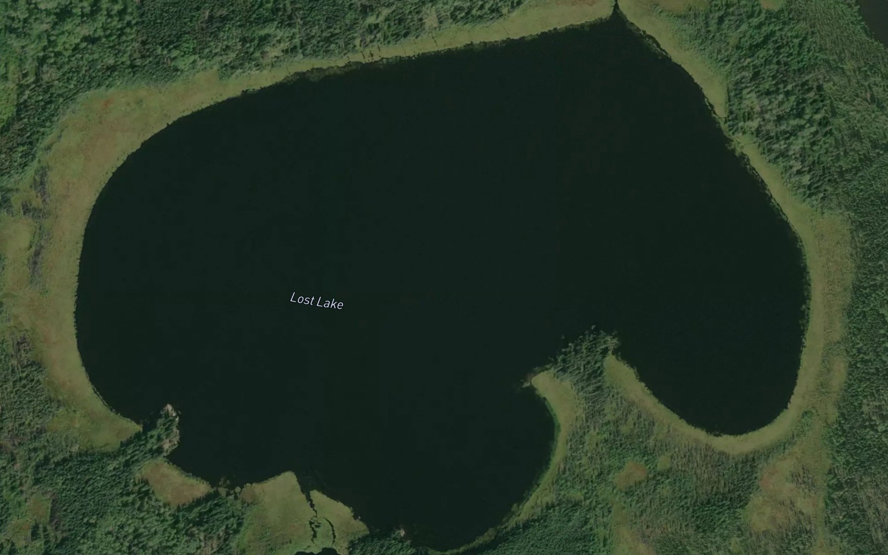Satellite map of the Lost Lake