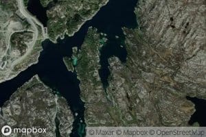 Selvagen