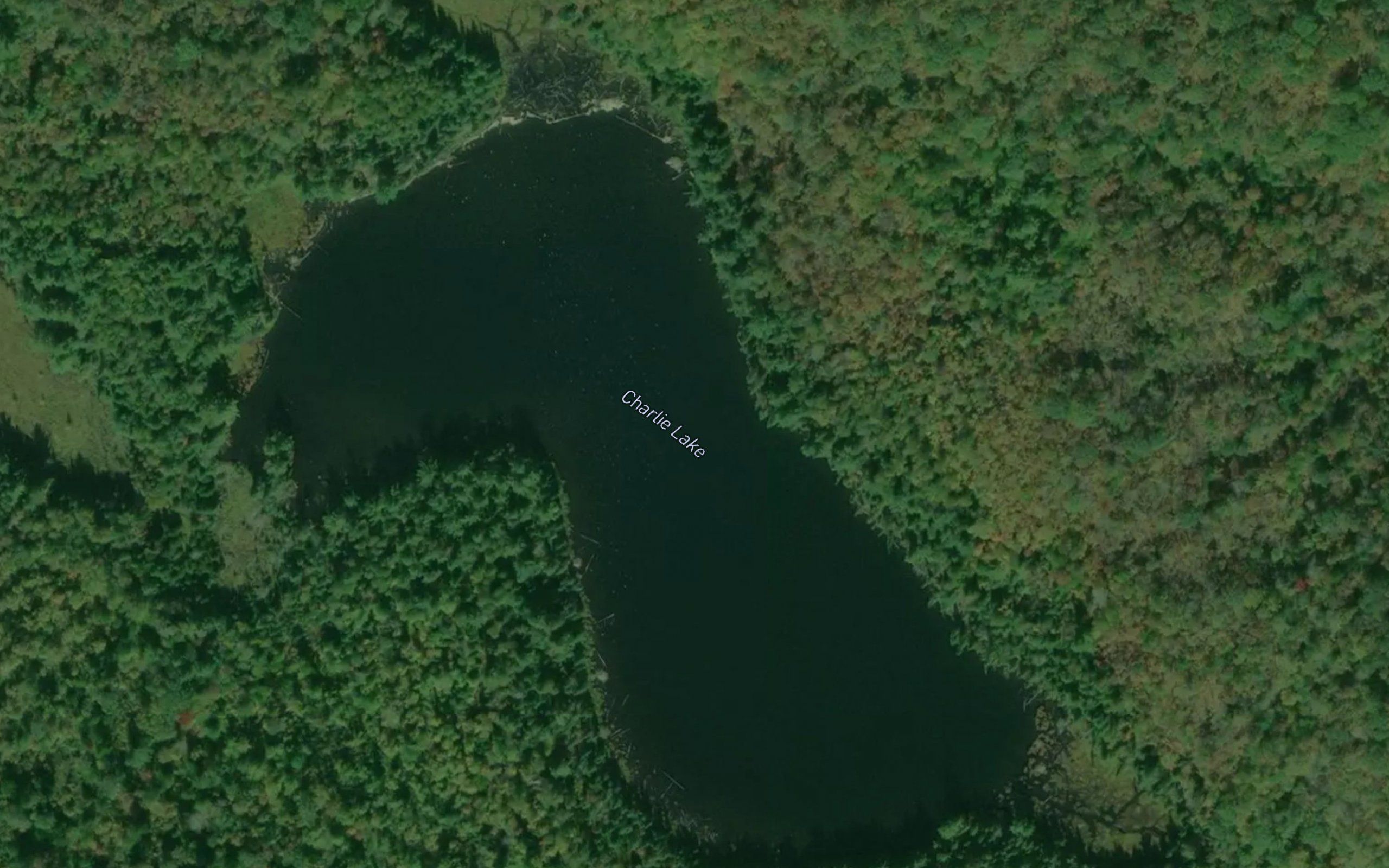 Charlie Lake