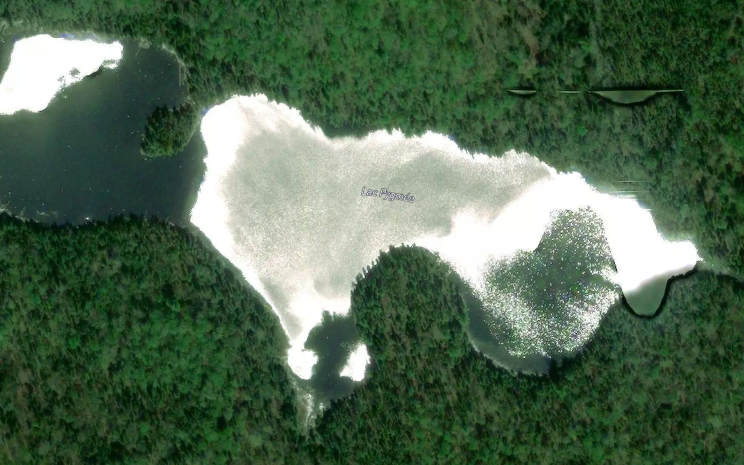 Lac Pygmee