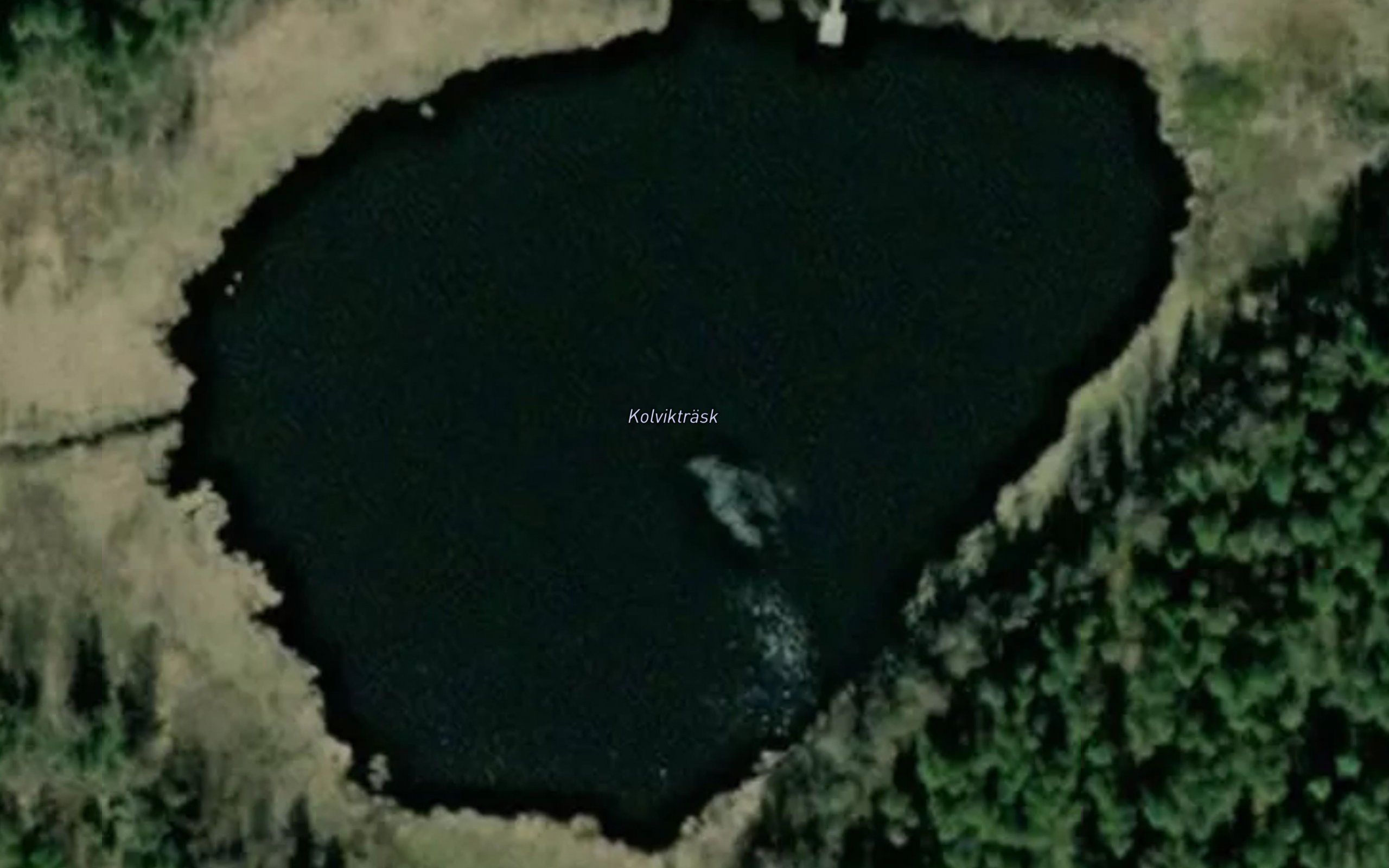 Kolviktrask
