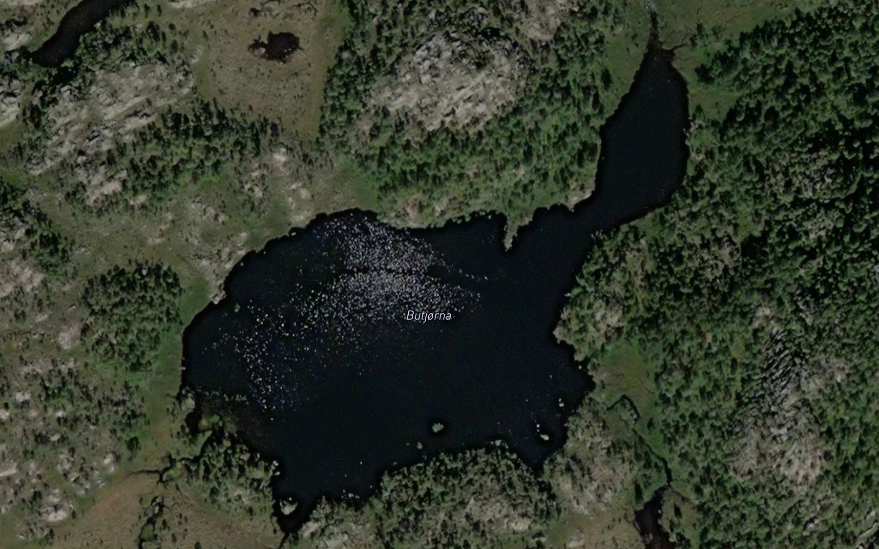 Satellite map of the Butjorna