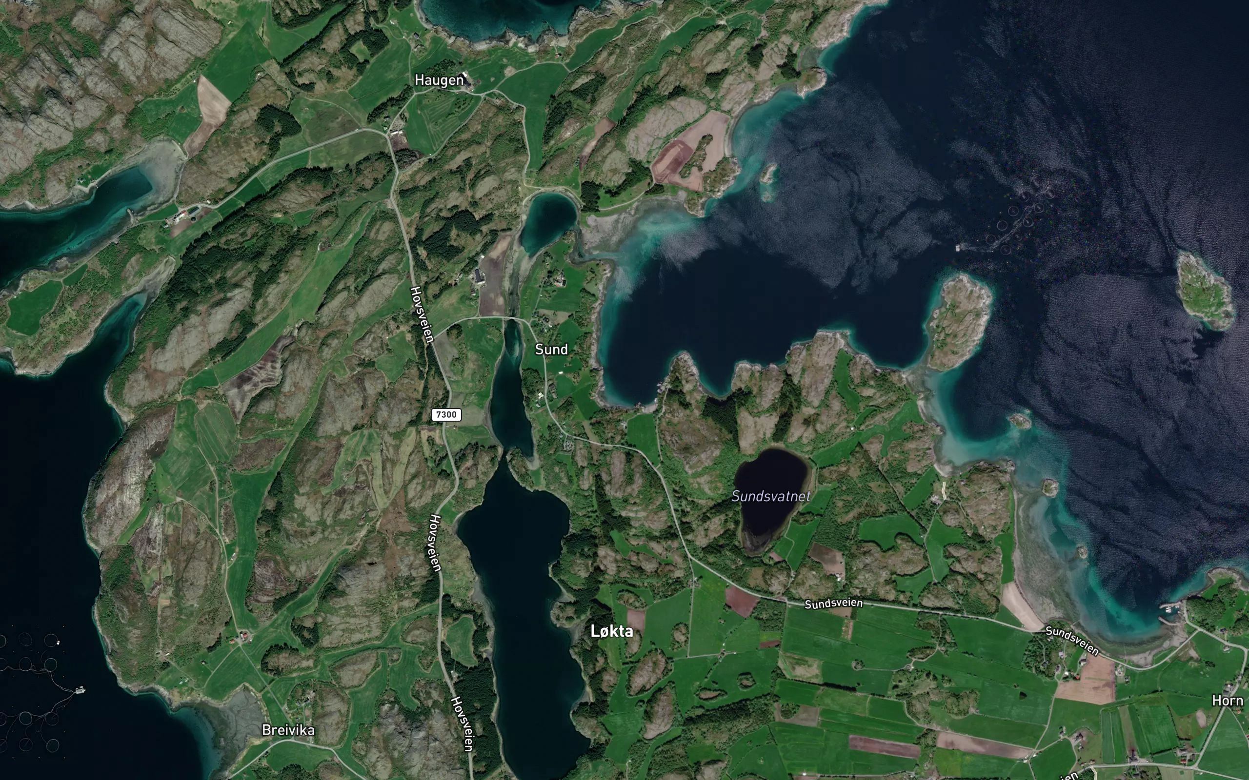 Vasskardvikja