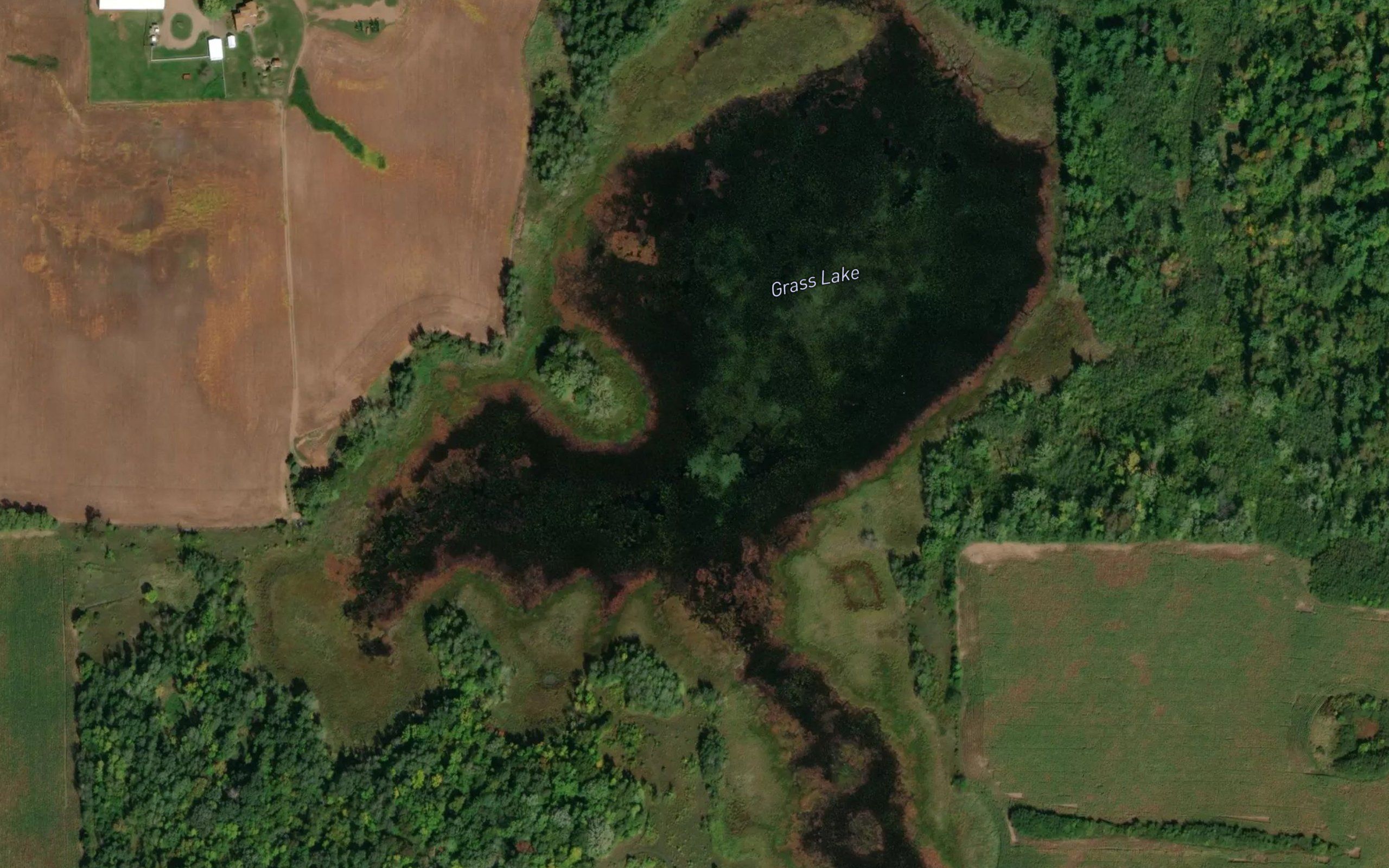 Grass Lake