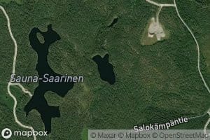 Nurkka-Saarinen