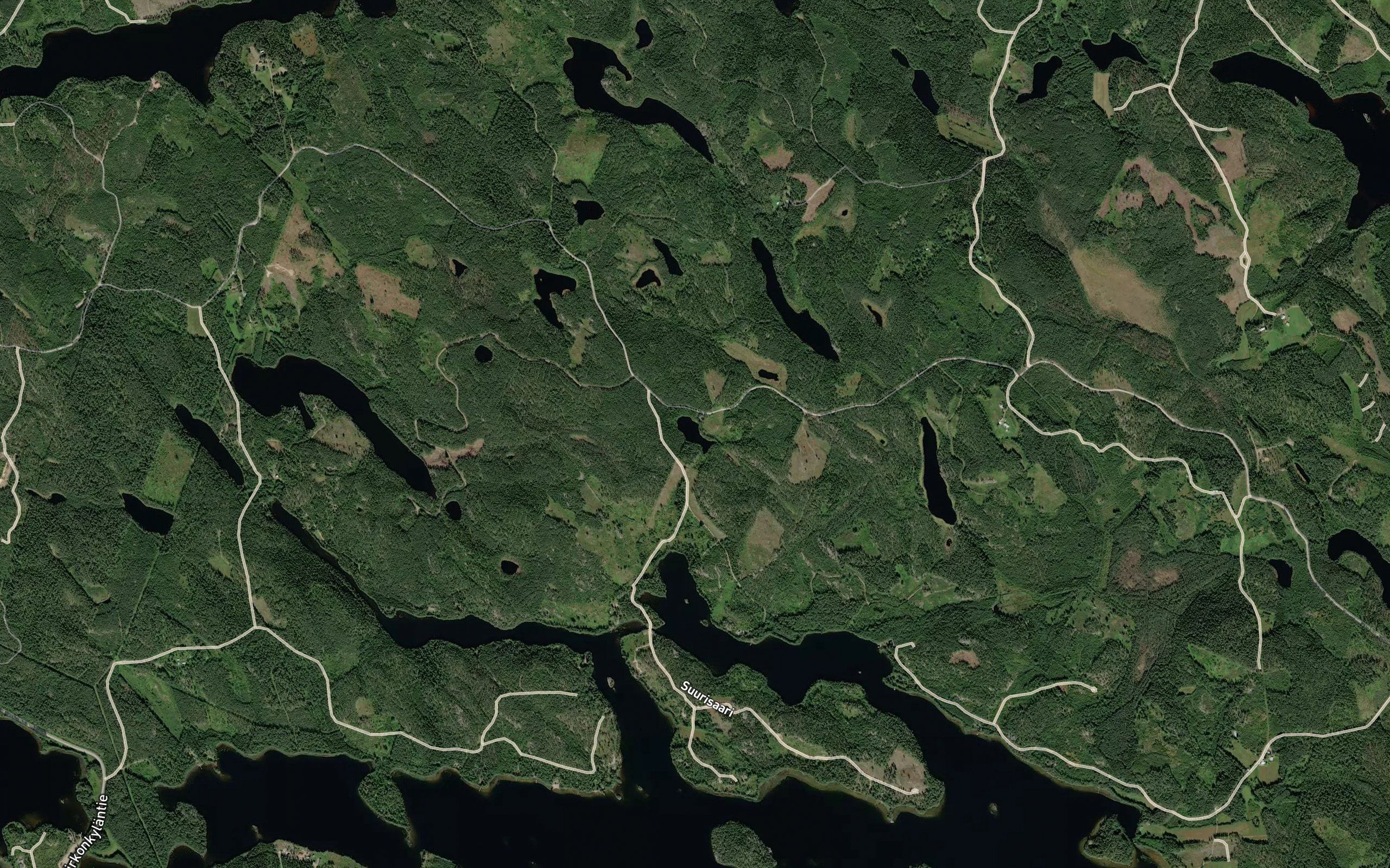 Kalatonlampi