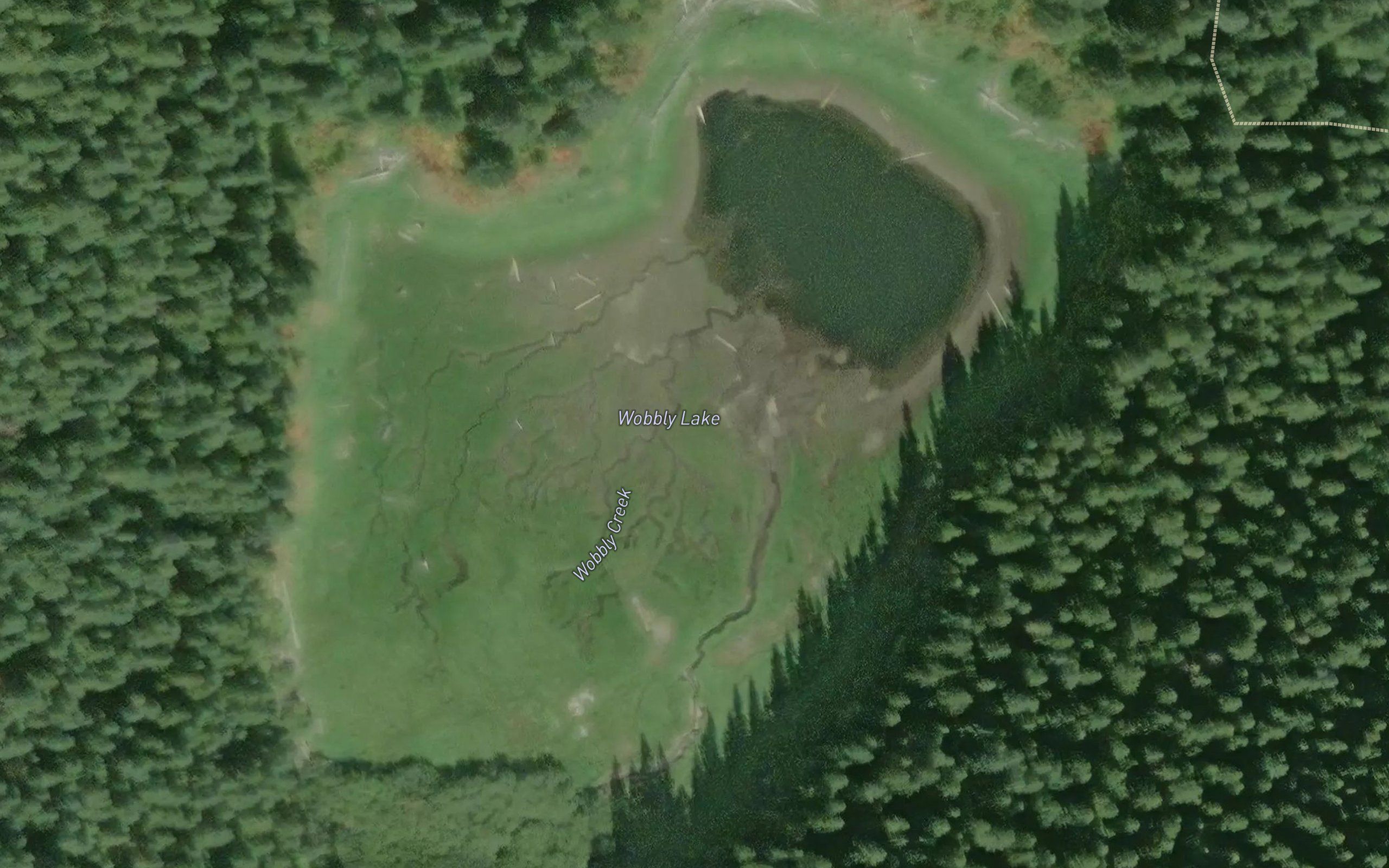 Wobbly Lake