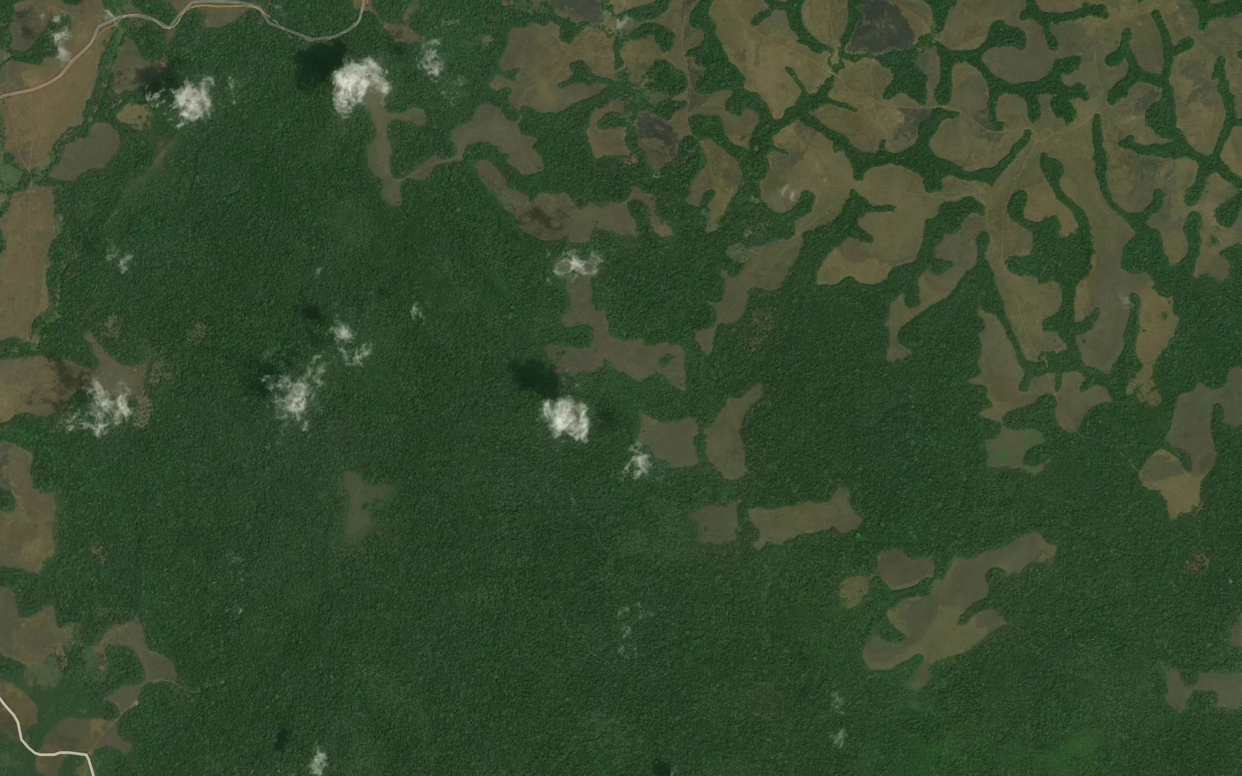 Satellite map of the Ebe