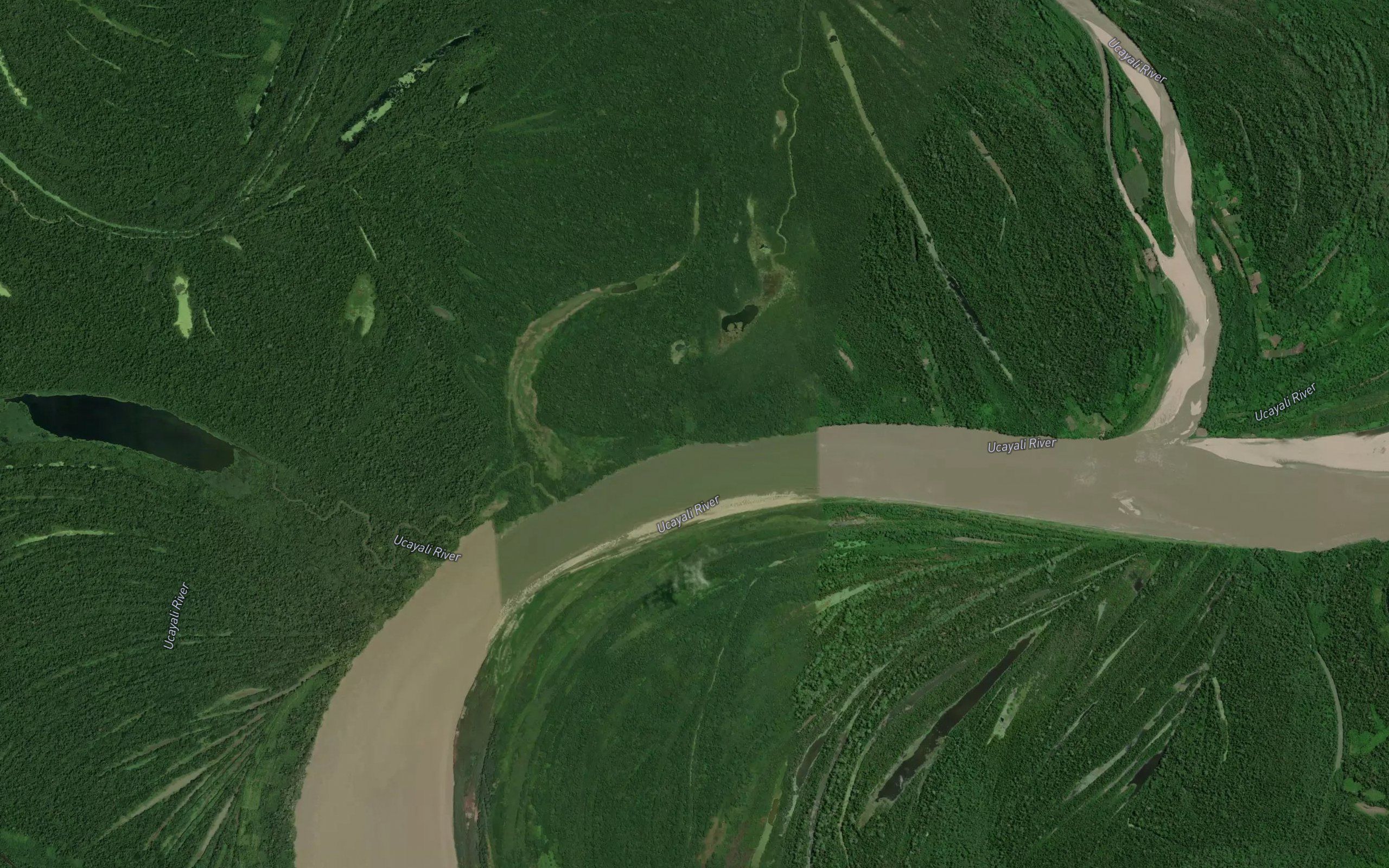 Laguna Muerta
