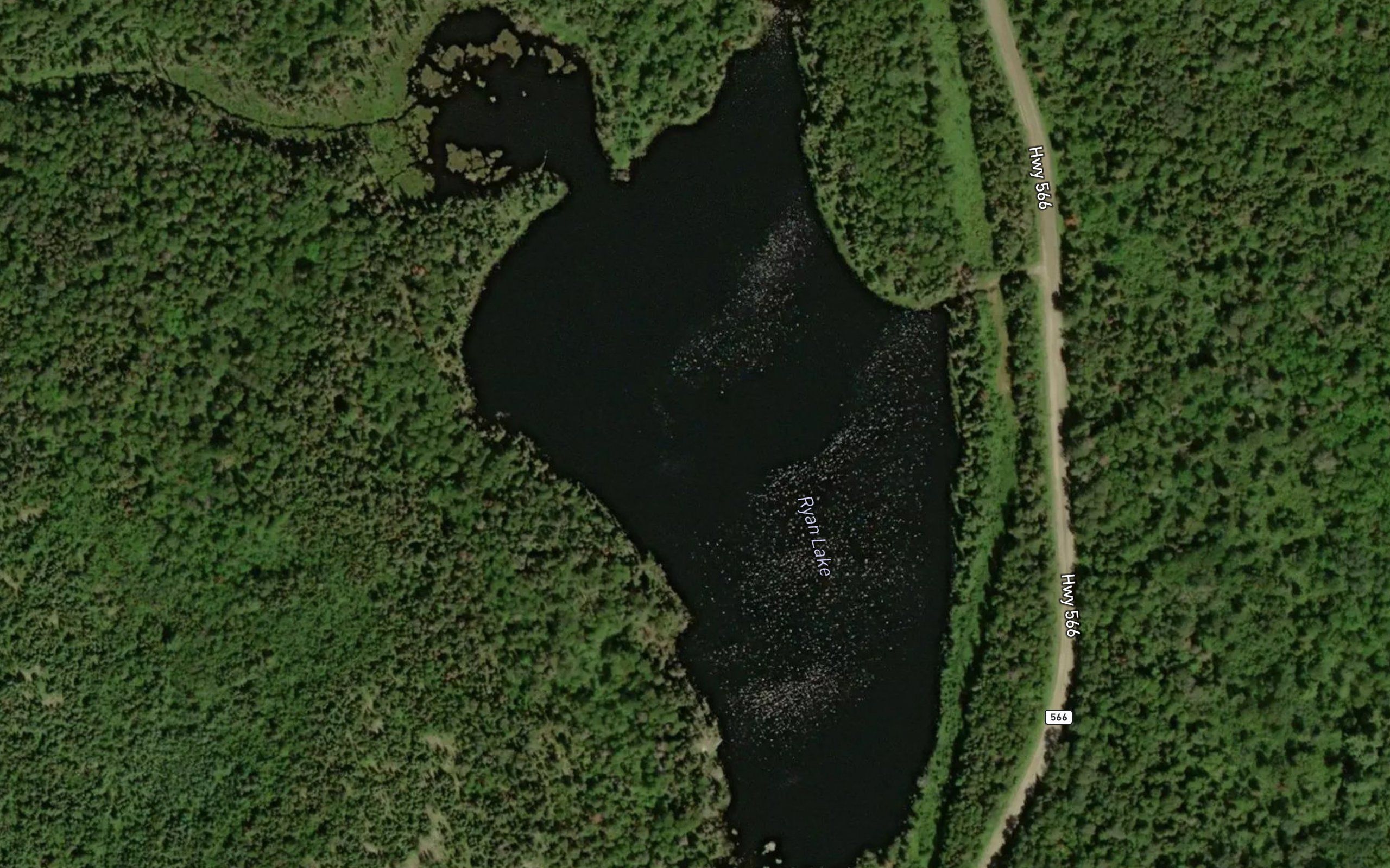 Ryan Lake