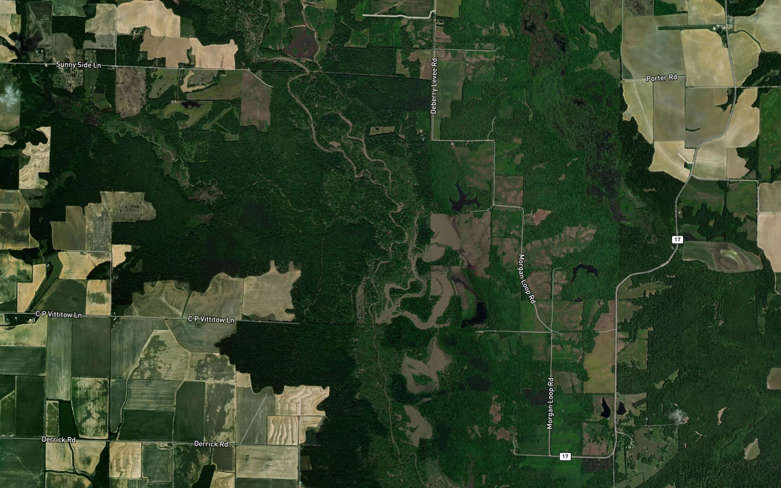 Caney Bayou