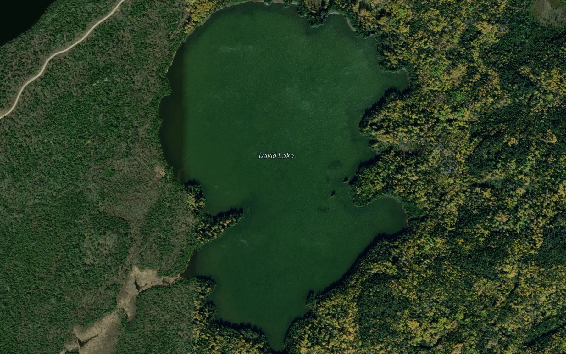 Satellite map of the David Lake
