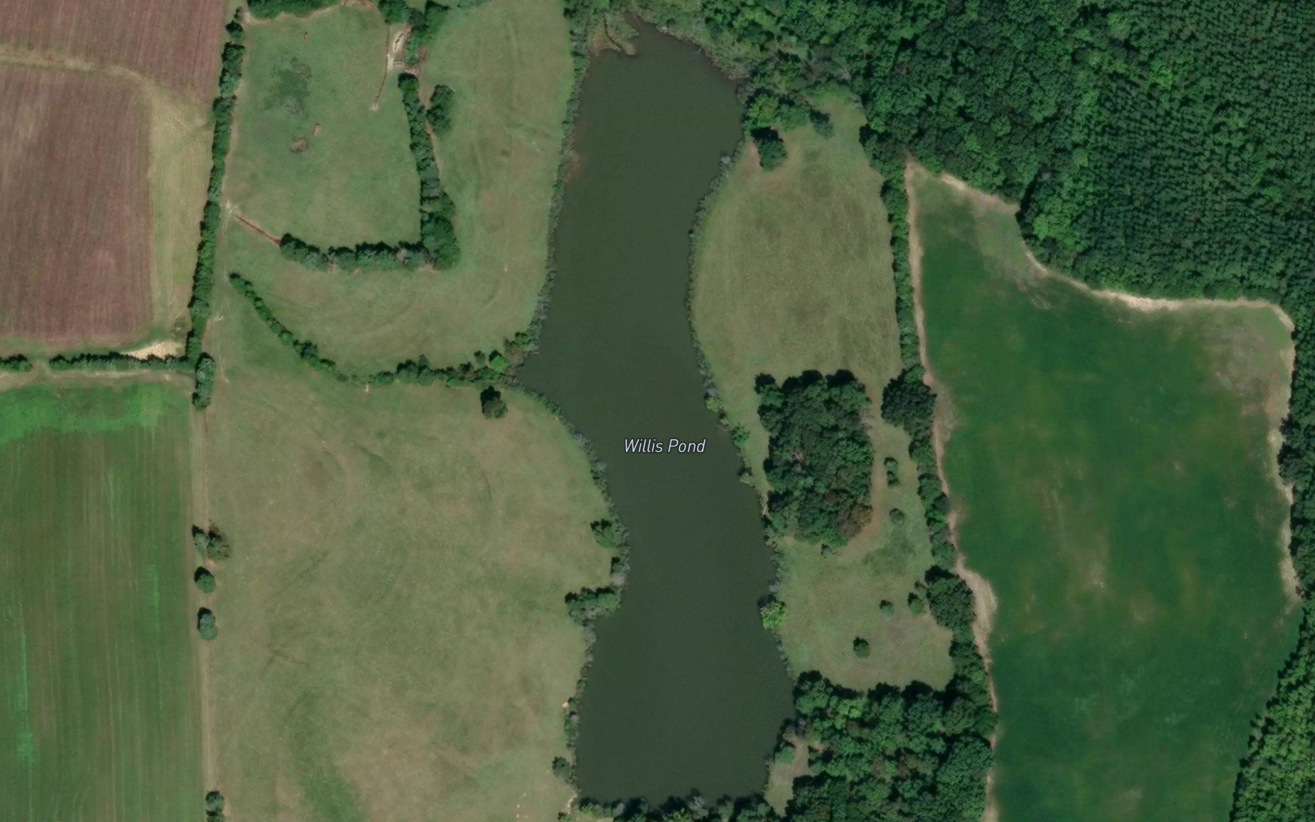 Willis Pond