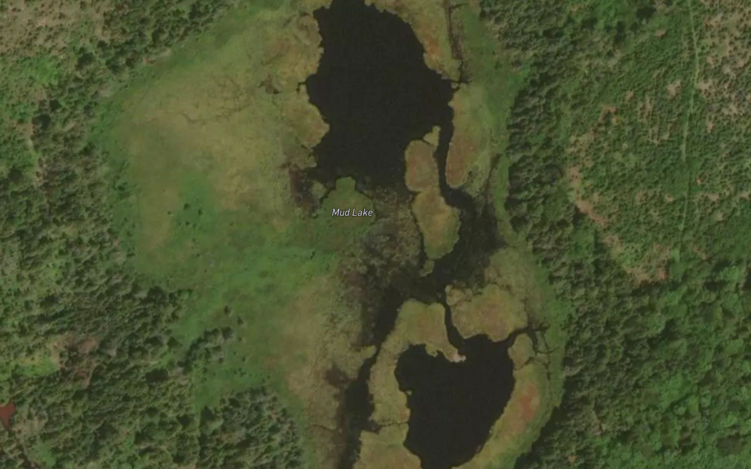 Mud Lake