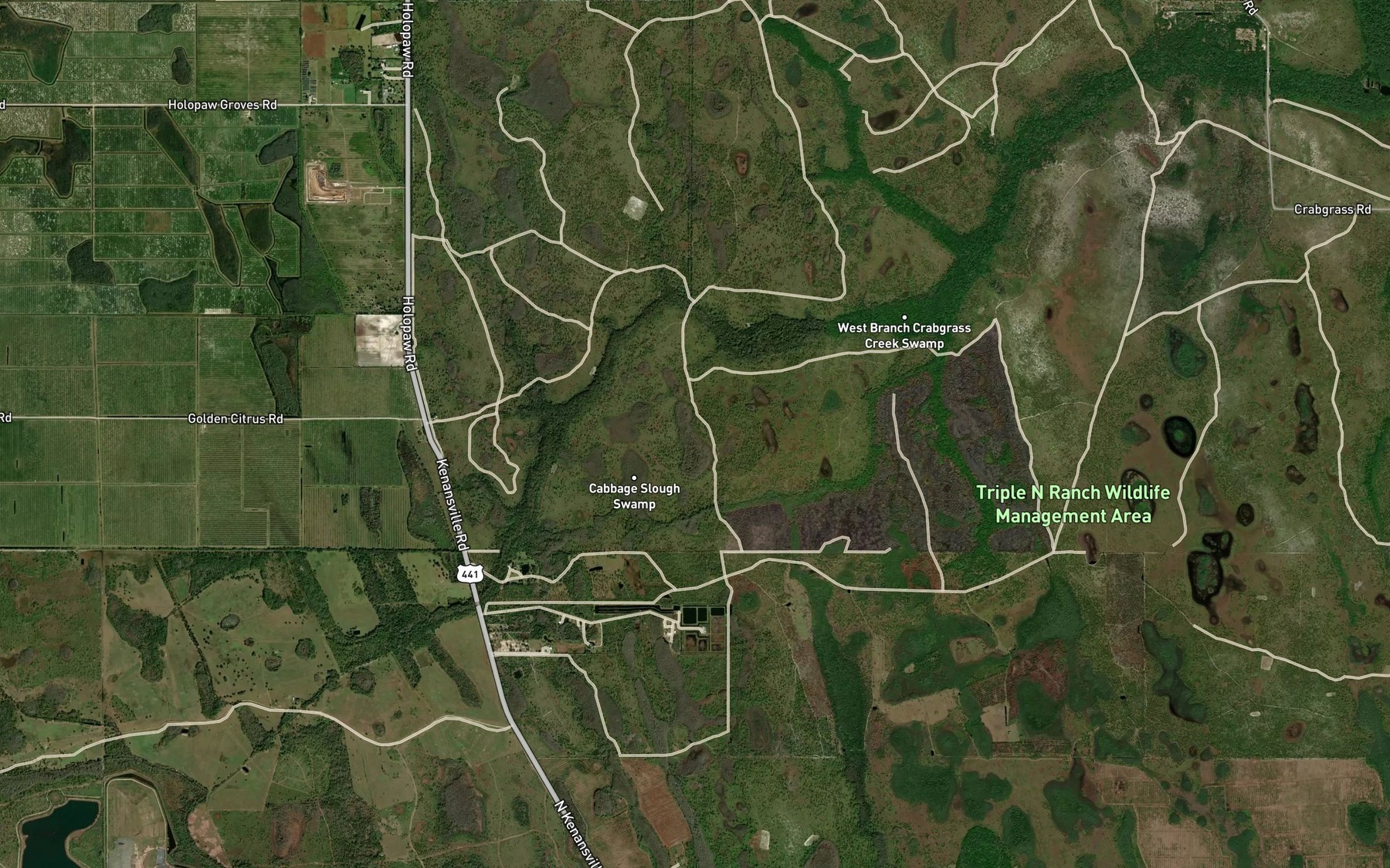 Satellite map of the Grape Head Pond
