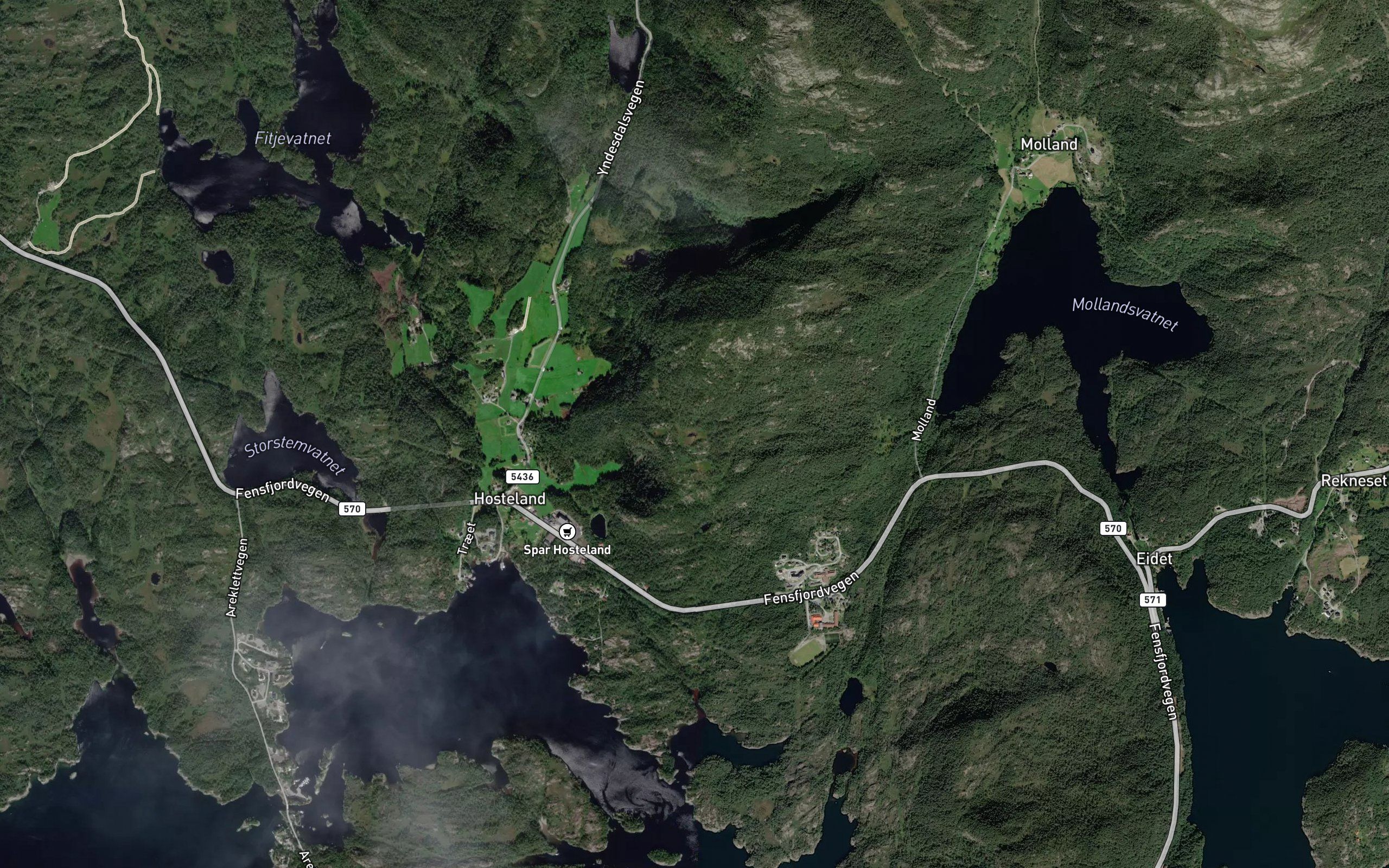 Fjelltjorna