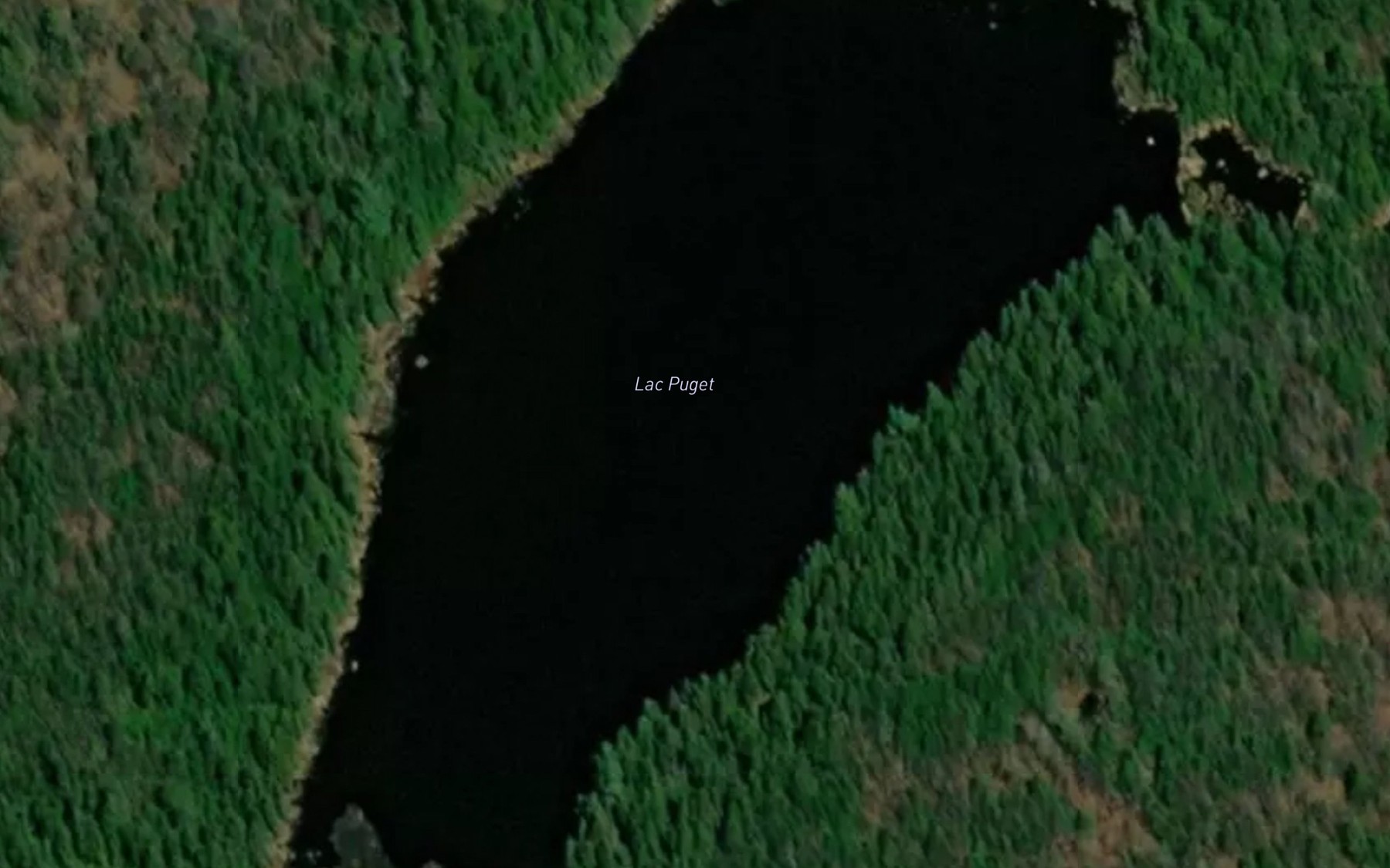 Satellite map of the Lac Puget