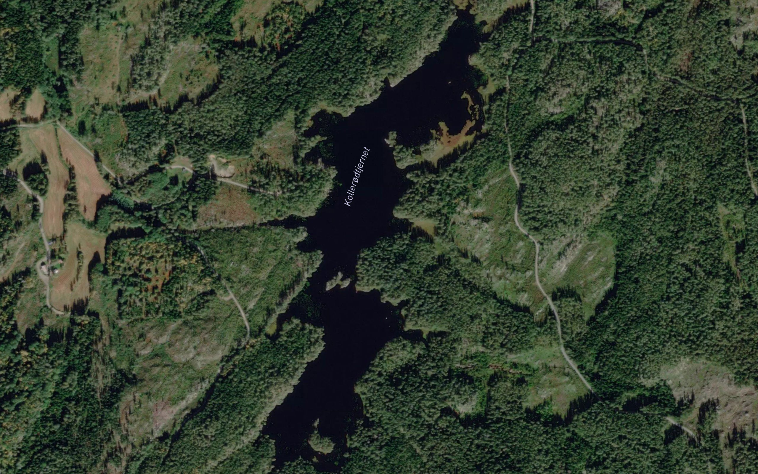 Kollerodtjernet