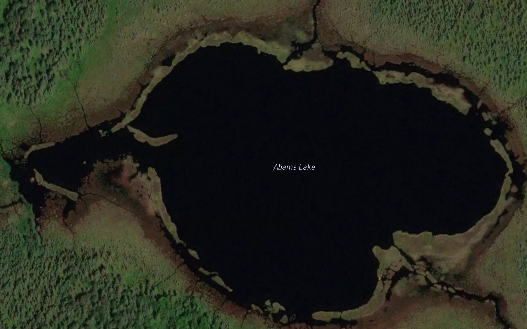 Satellite map of the Abams Lake