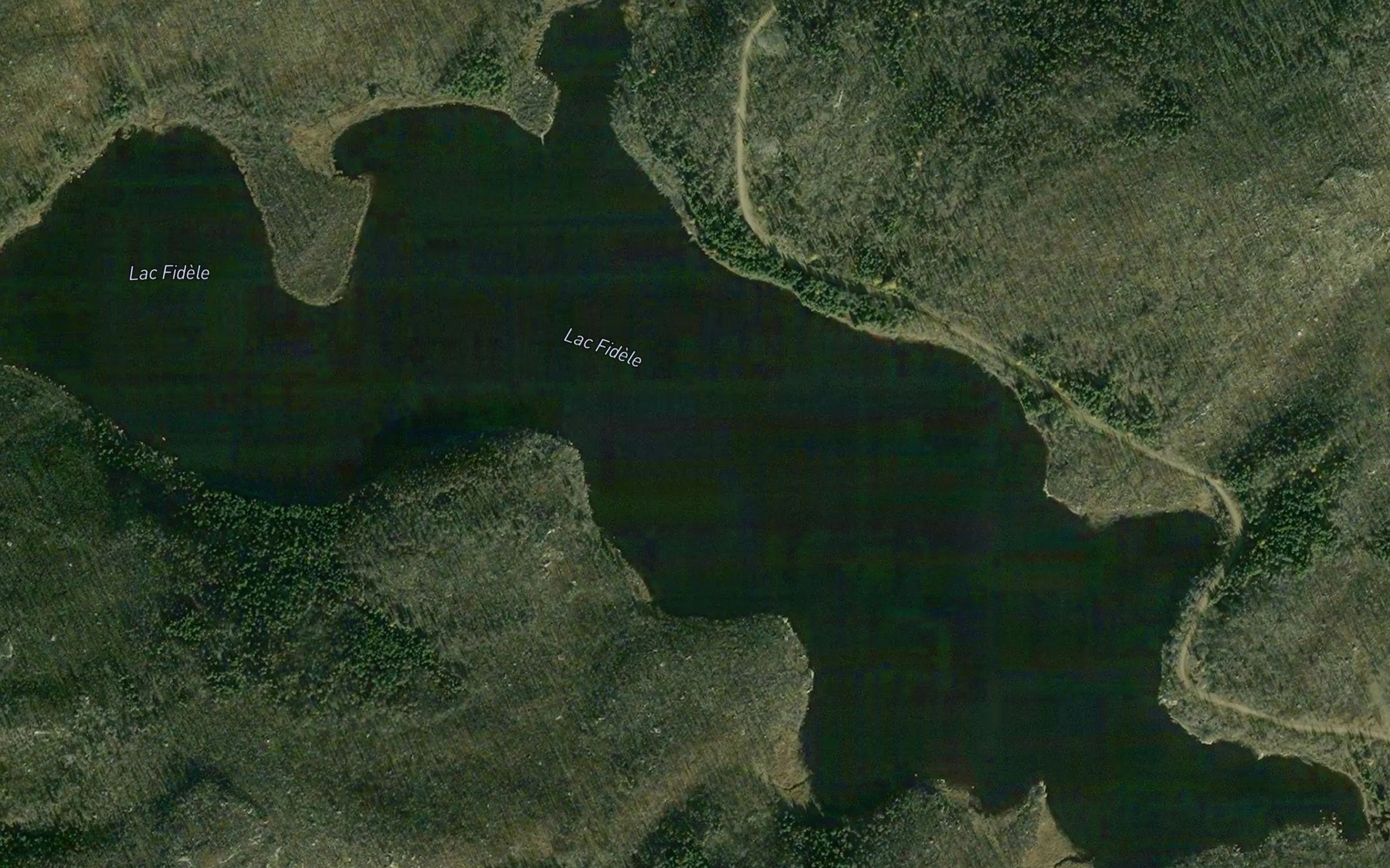 Satellite map of the Lac Fidele