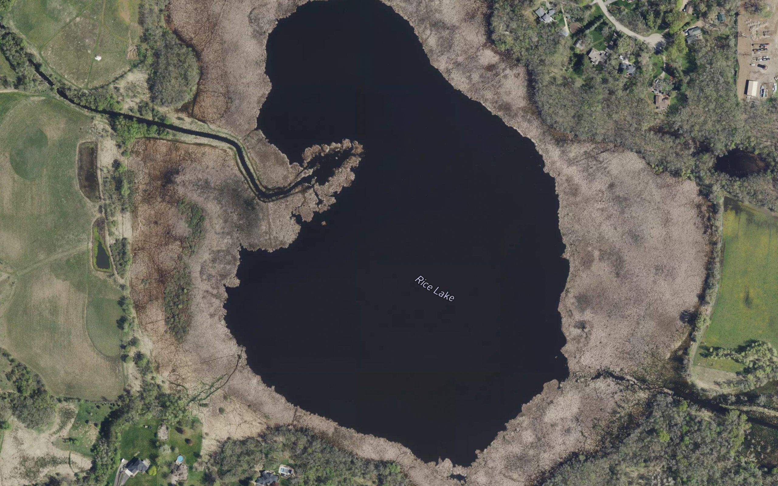 Rice Lake
