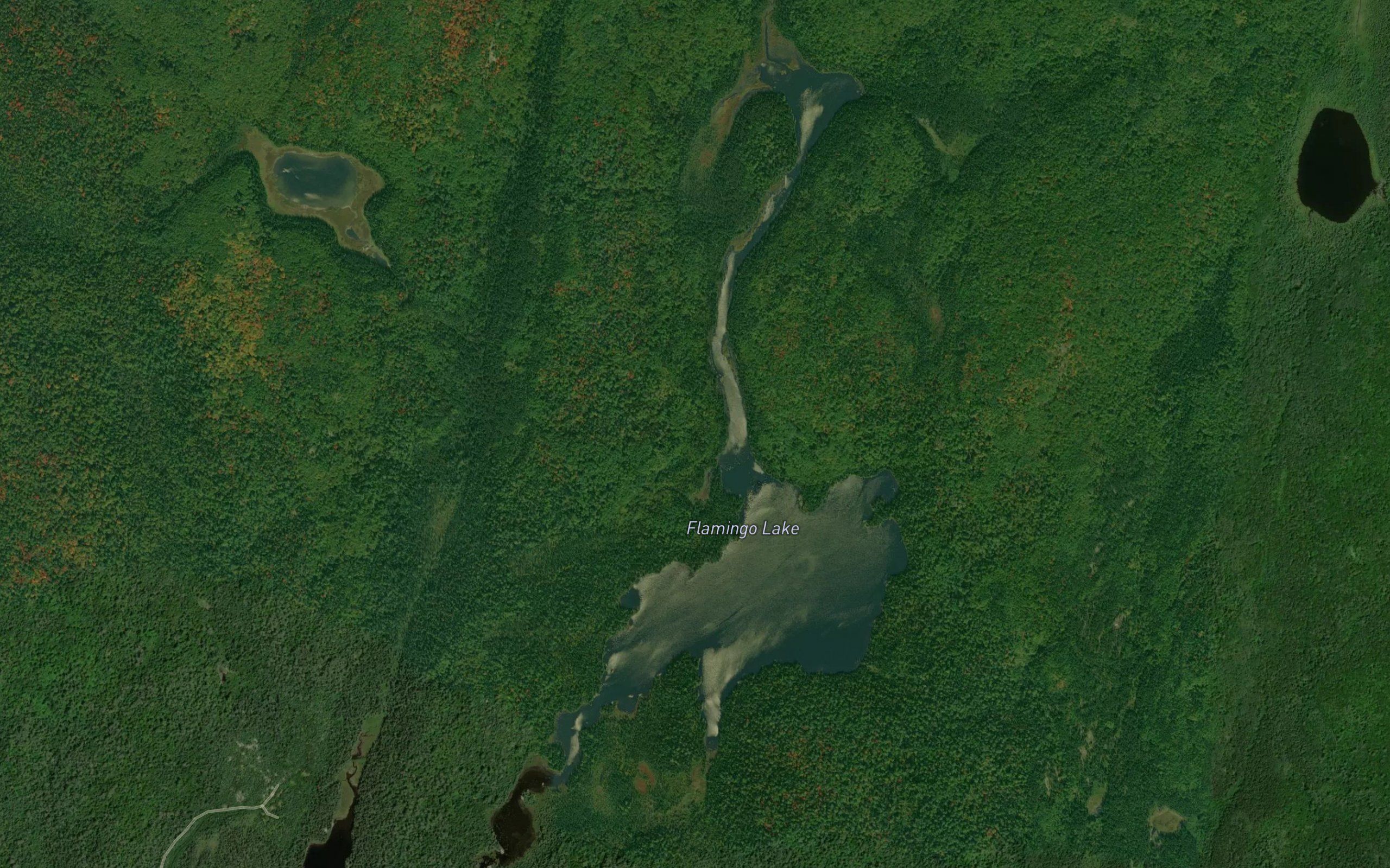 Flamingo Lake
