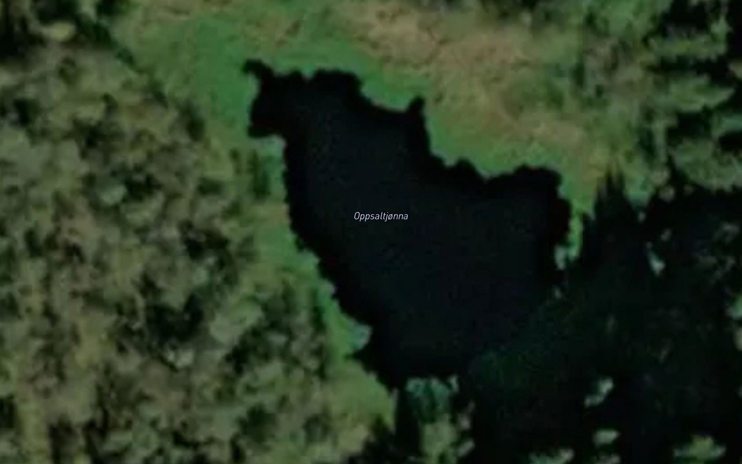 Opsaltjonna