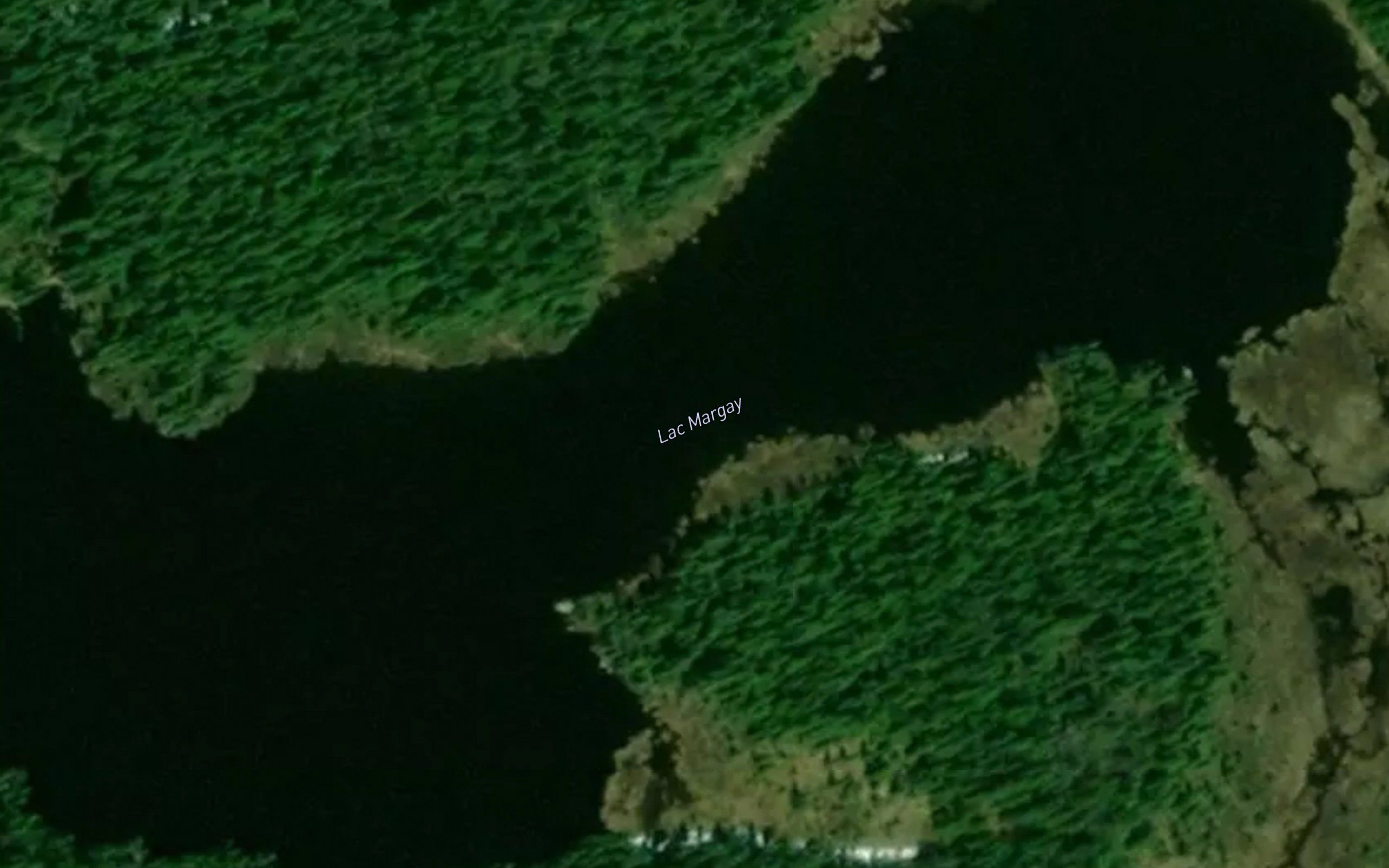 Lac Margay