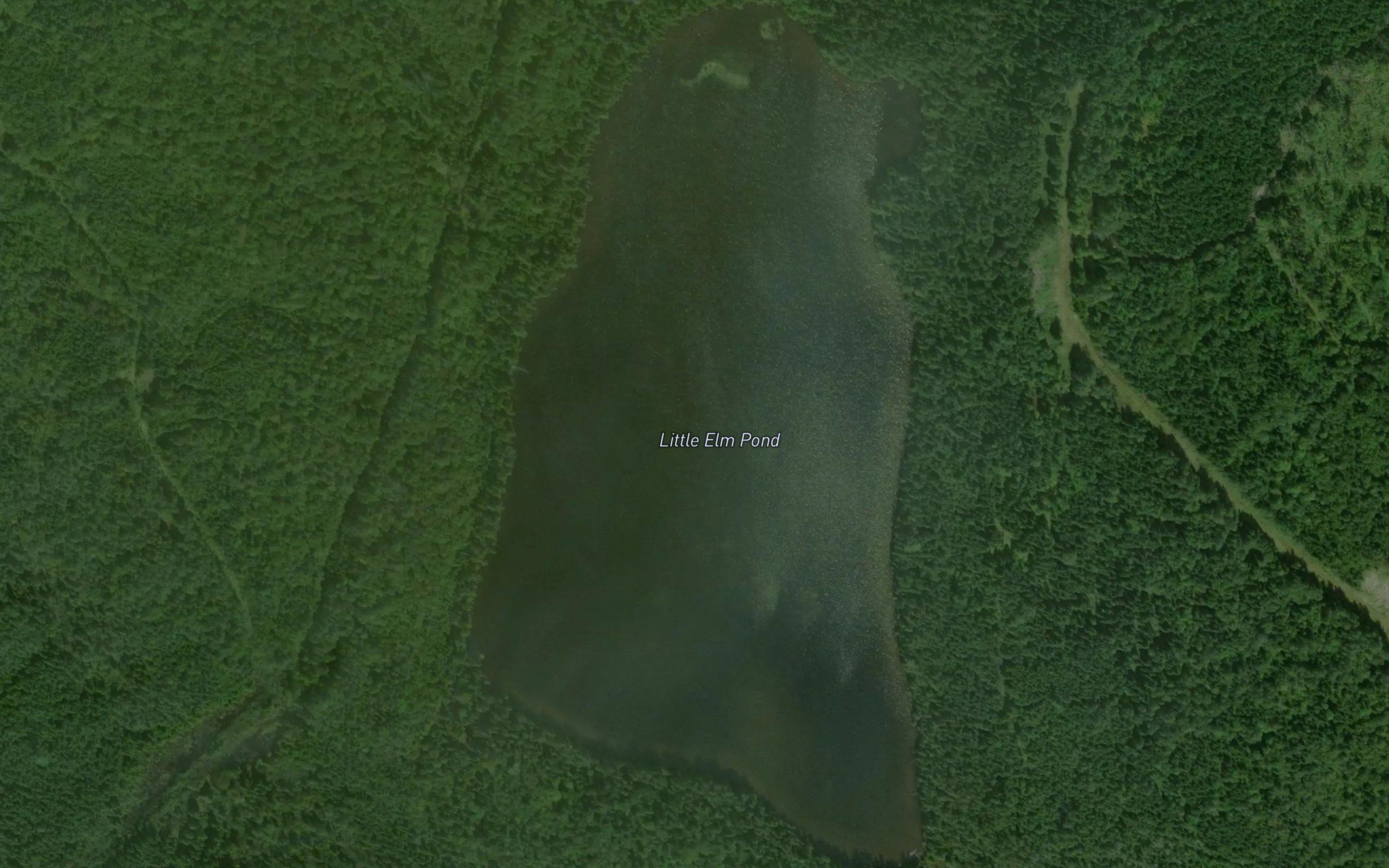 Little Elm Pond