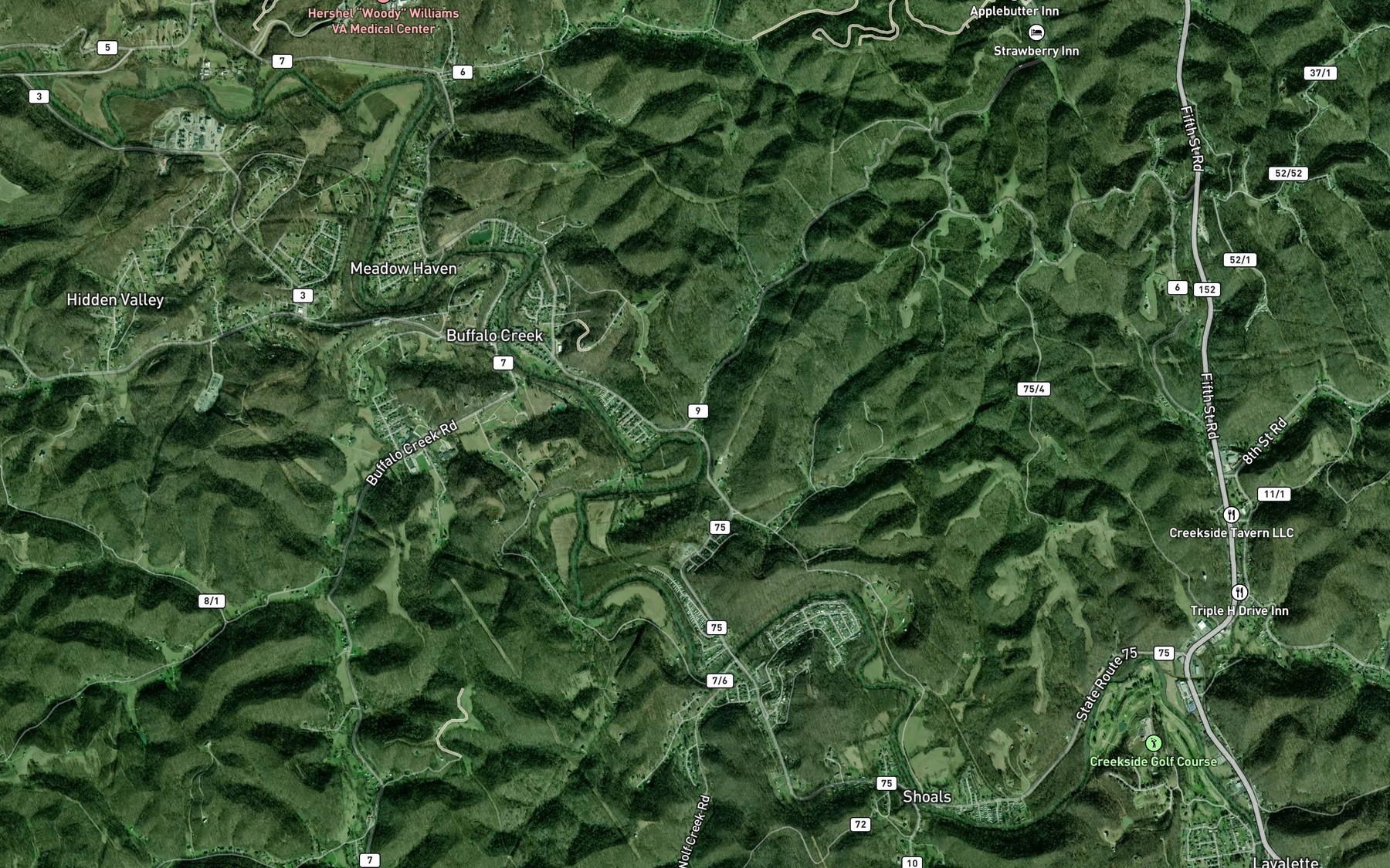Satellite map of the Haneys Branch