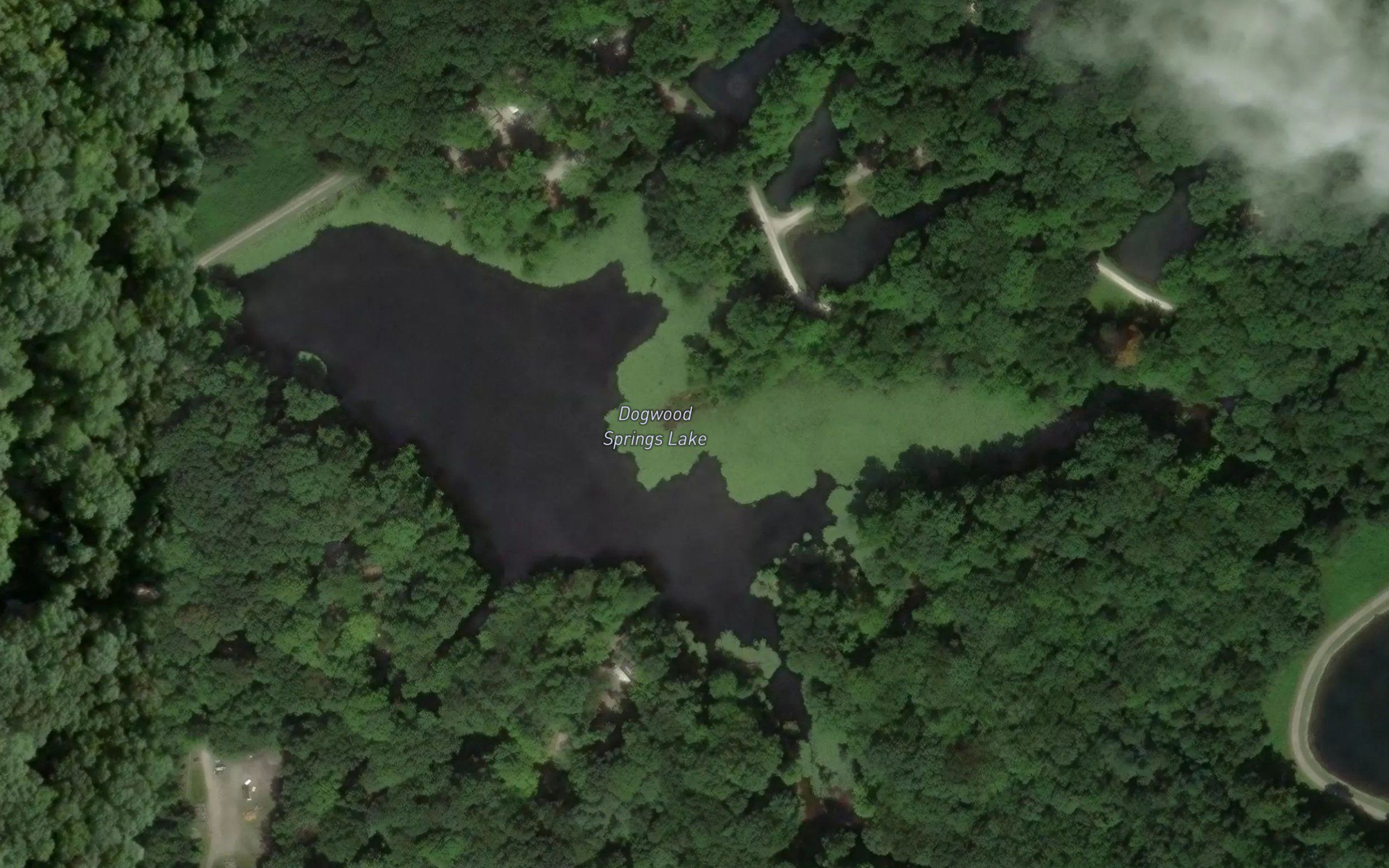 Dogwood Springs Lake