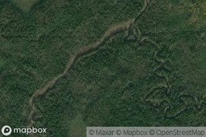 Levaya Shapshinskaya