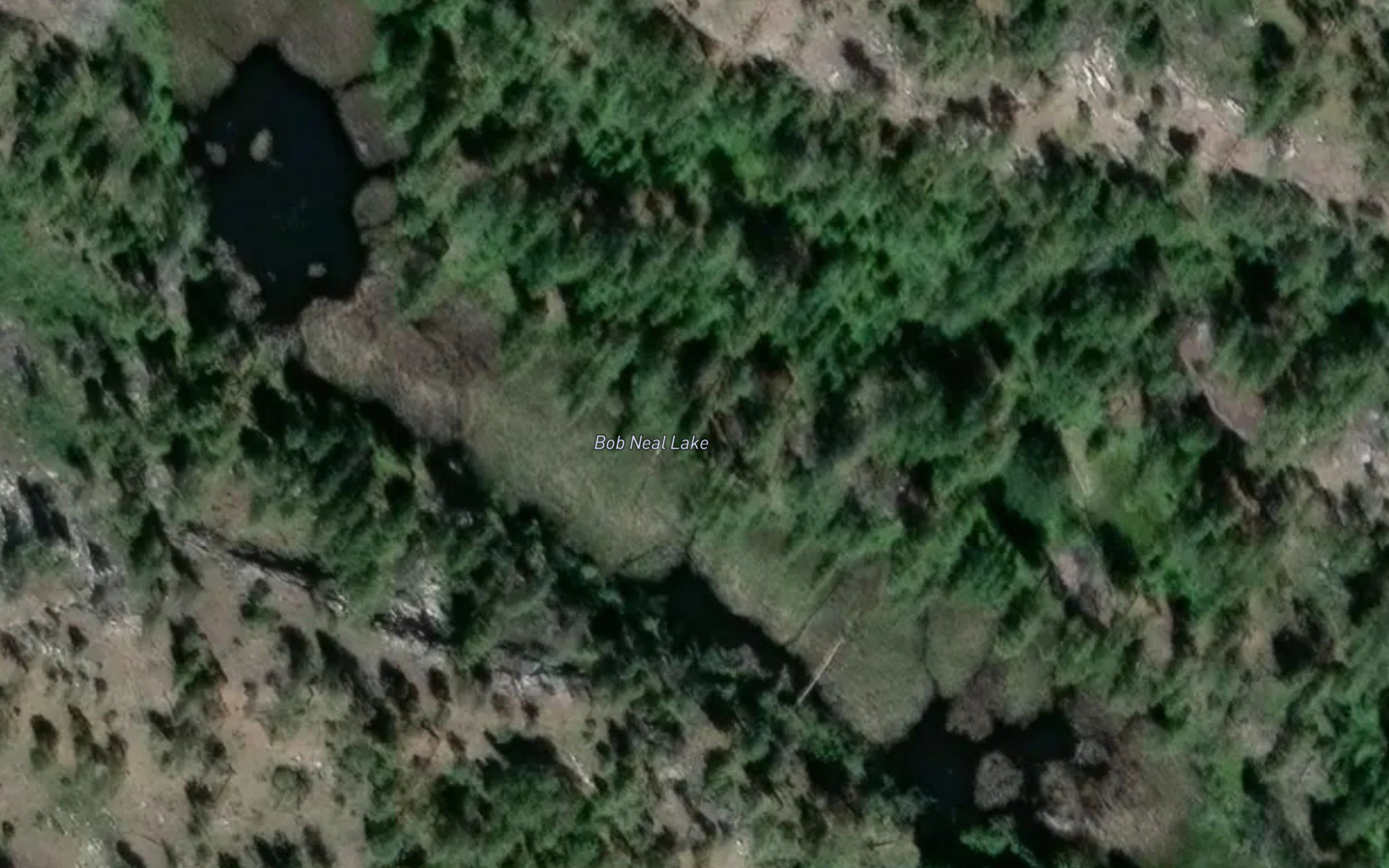 Bob Neal Lake