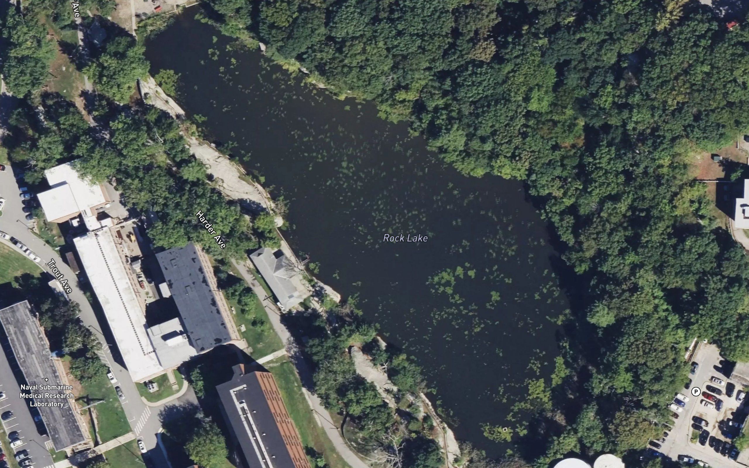 Rock Pond