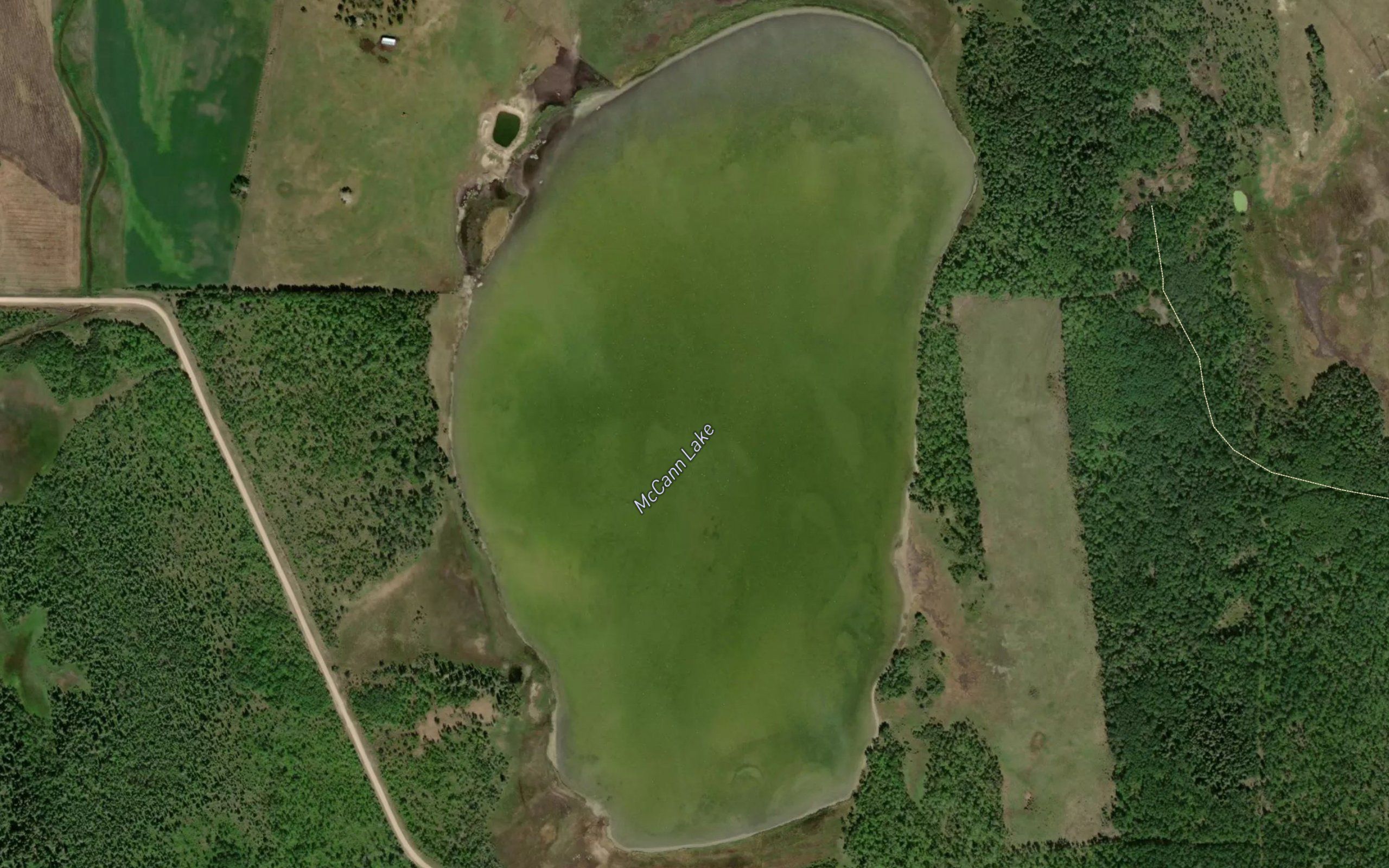 McCann Lake