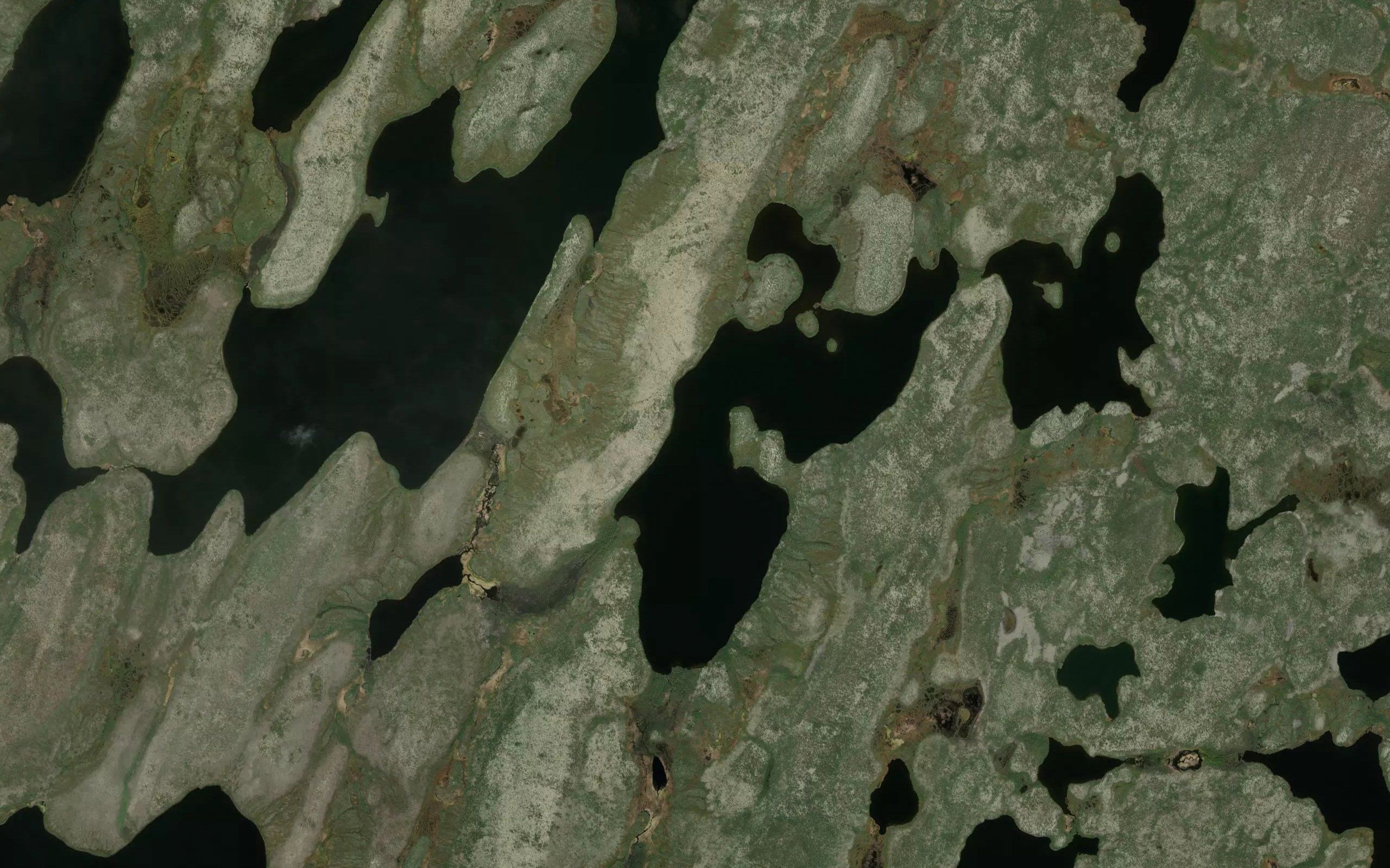 Foam Lake