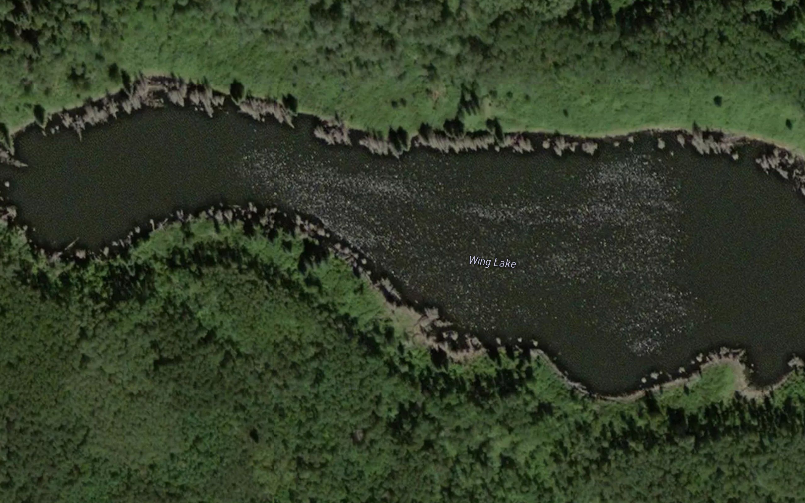 Wing Lake