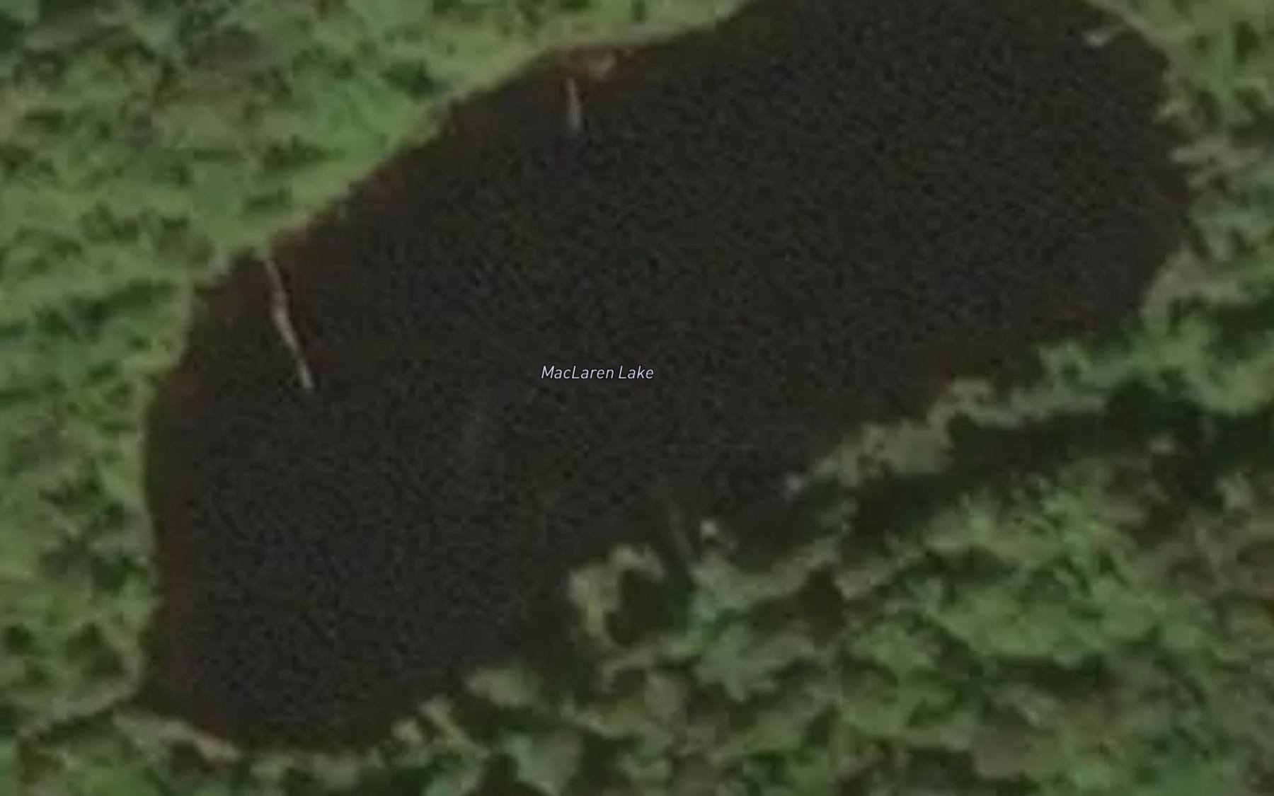 Satellite map of the MacLaren Lake