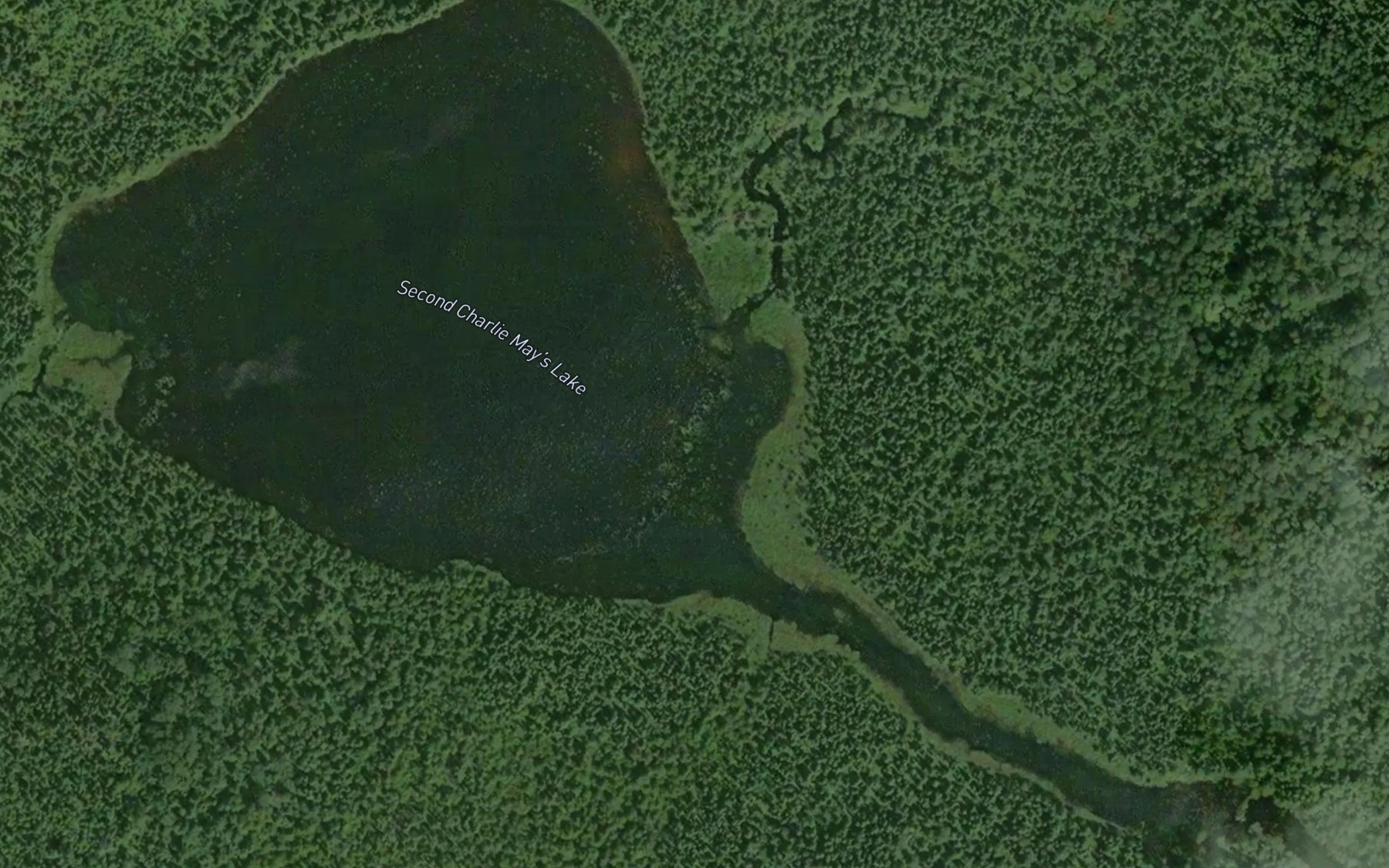 Satellite map of the Second Charlie May's Lake