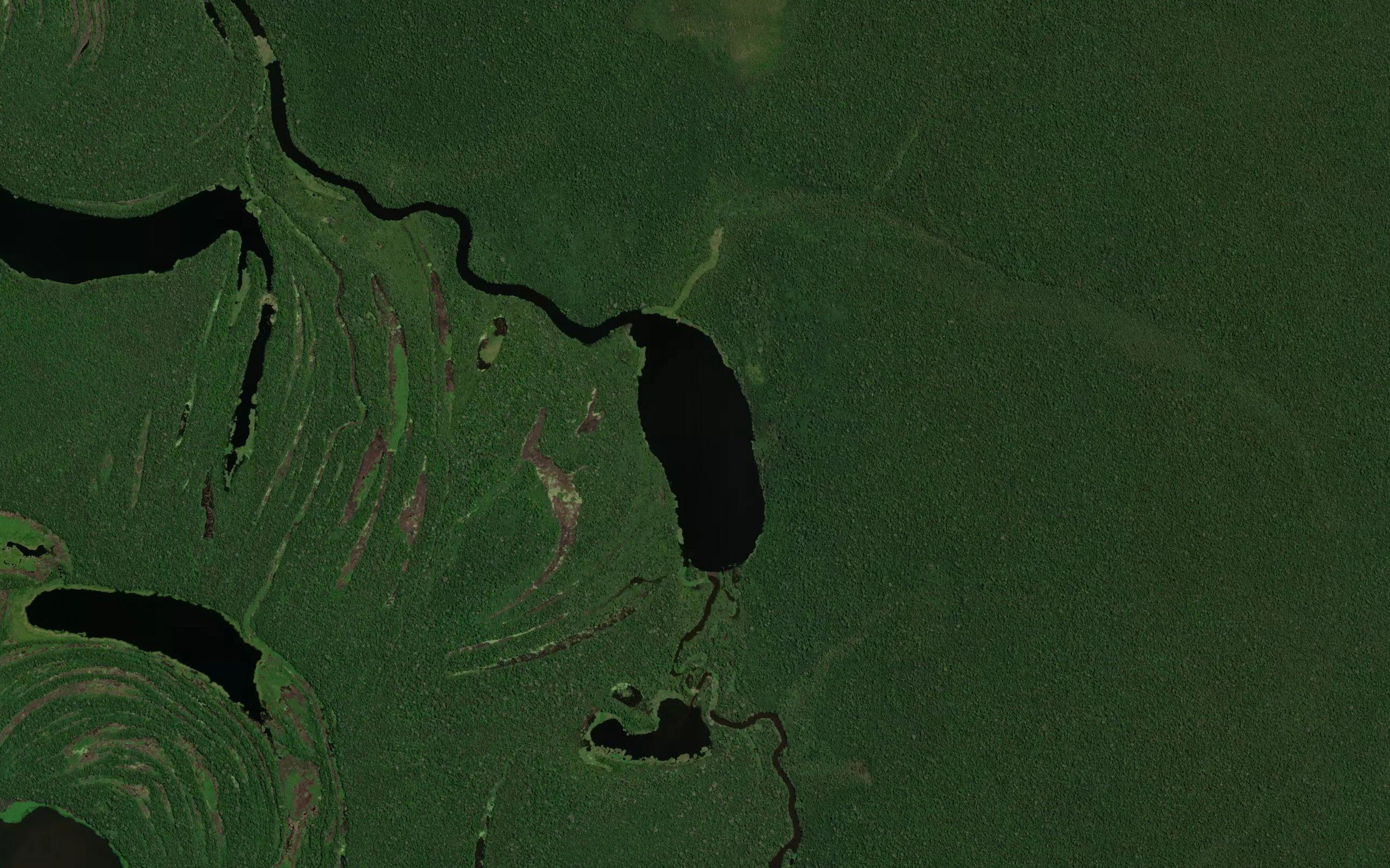 Lago Futuro