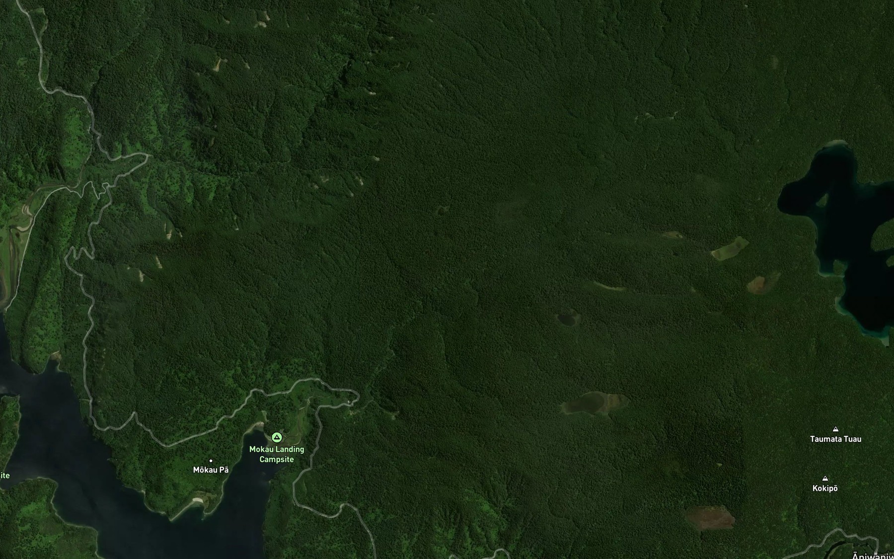 Satellite map of the Whano O Ruapani