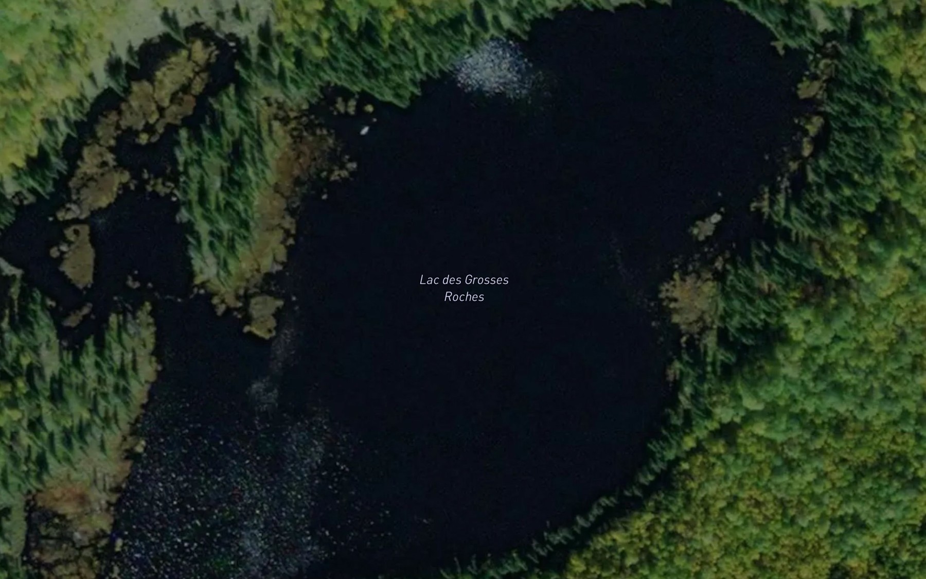 Satellite map of the Lac des Grosses Roches