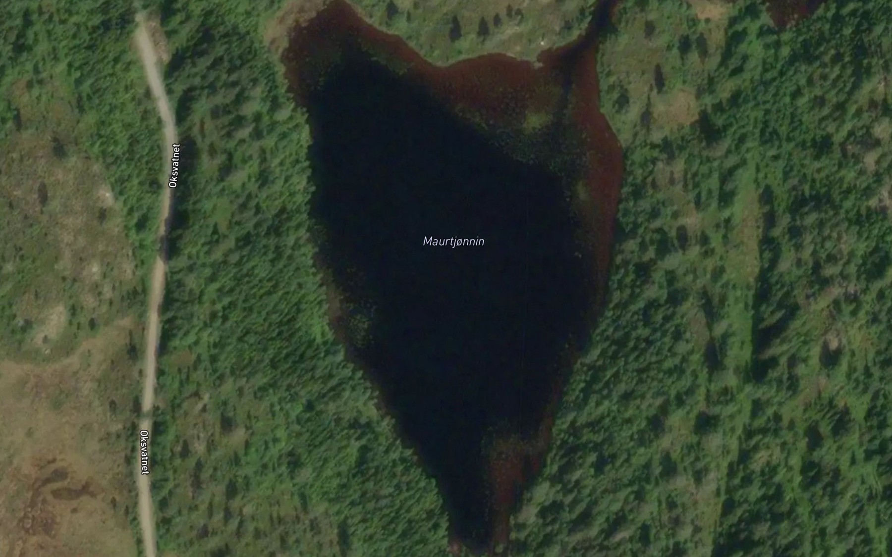 Satellite map of the Maurtjornin