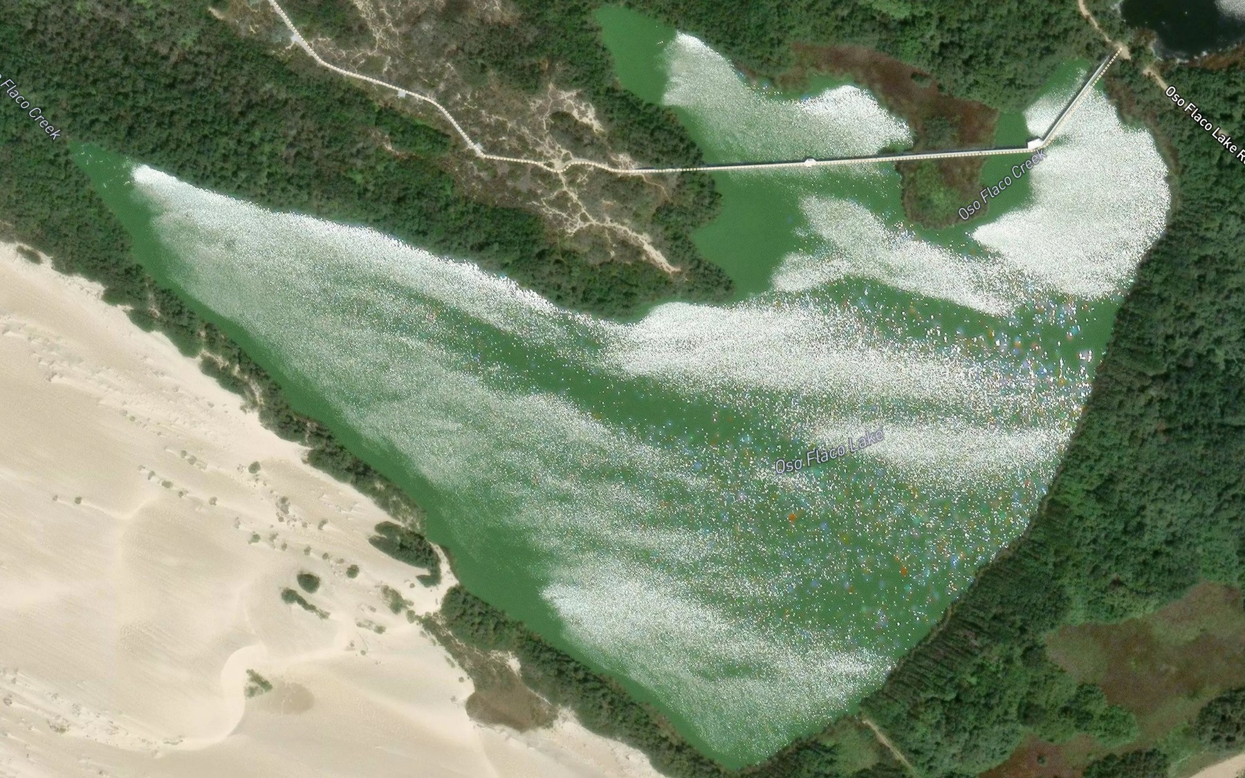 Satellite map of the Oso Flaco Lake