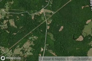 Paint Bearden Branch