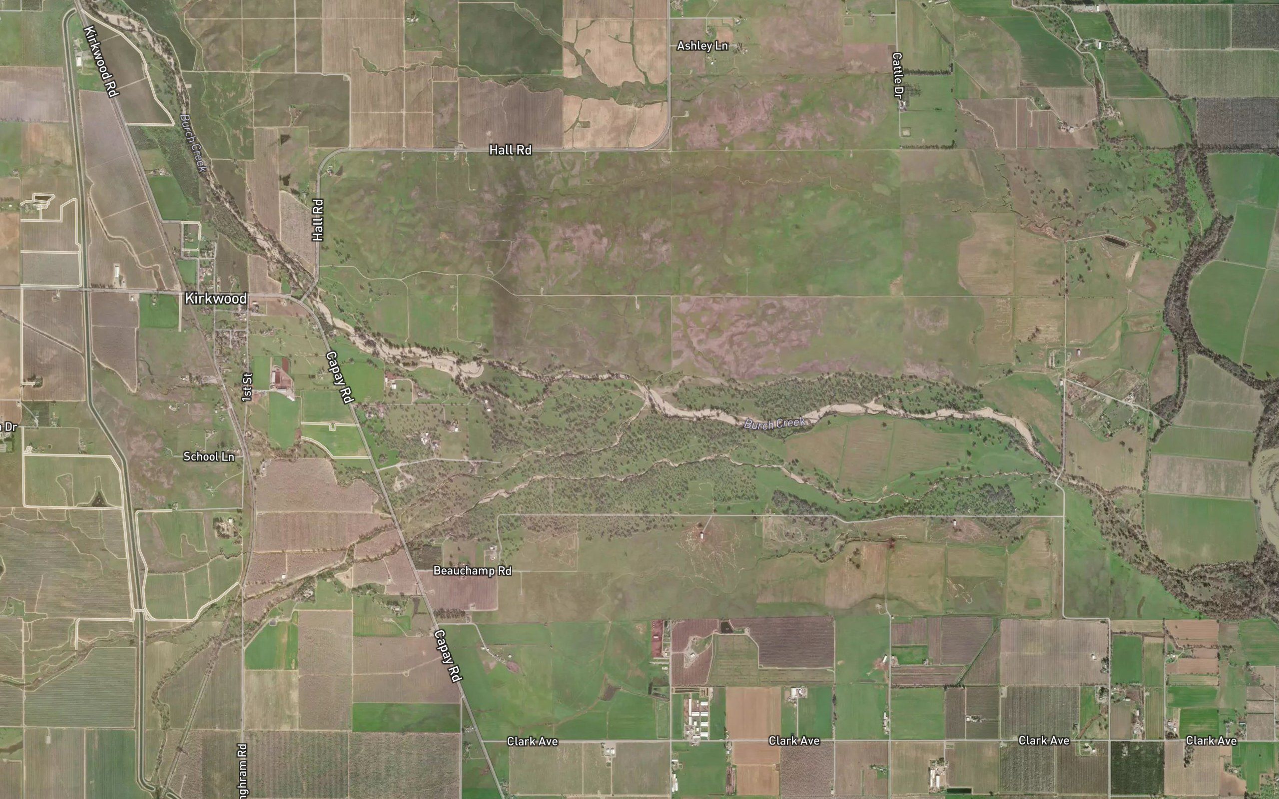 Rice Creek