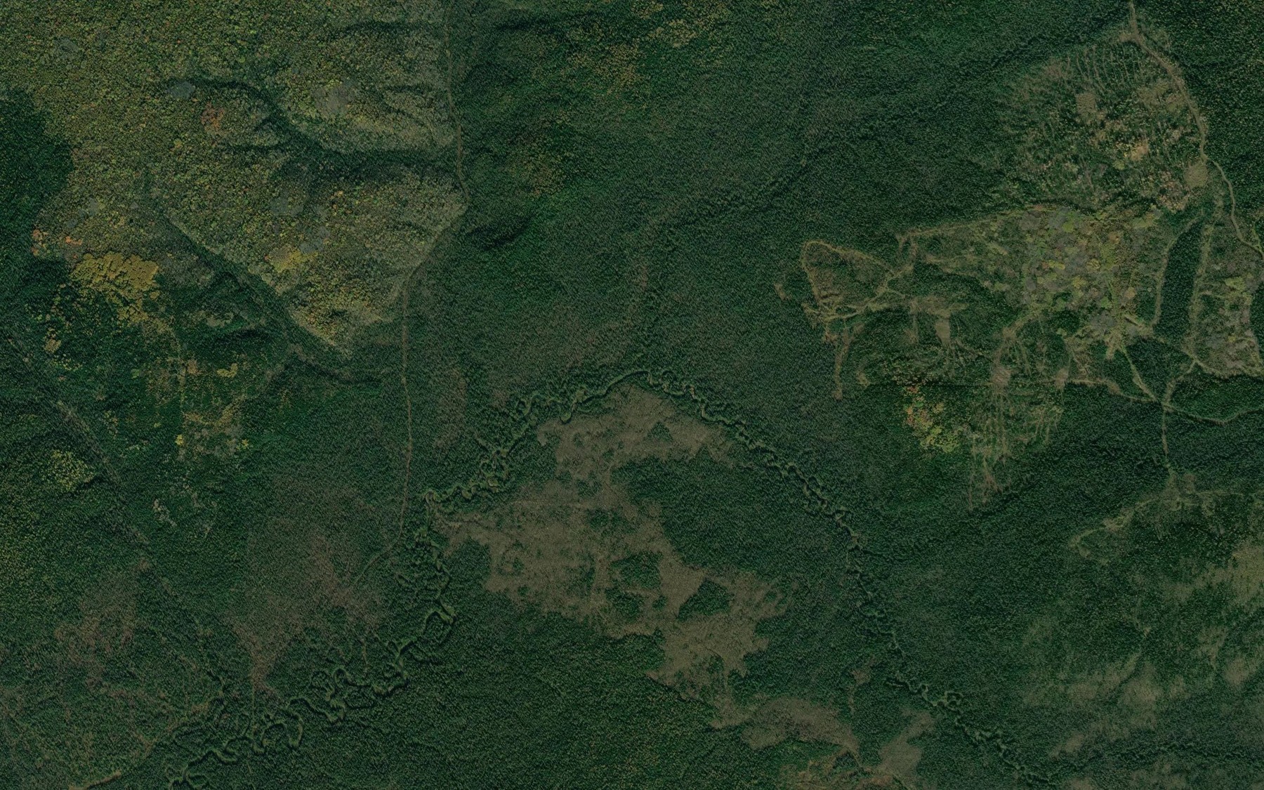 Satellite map of the Bol'shaya Zyryanka