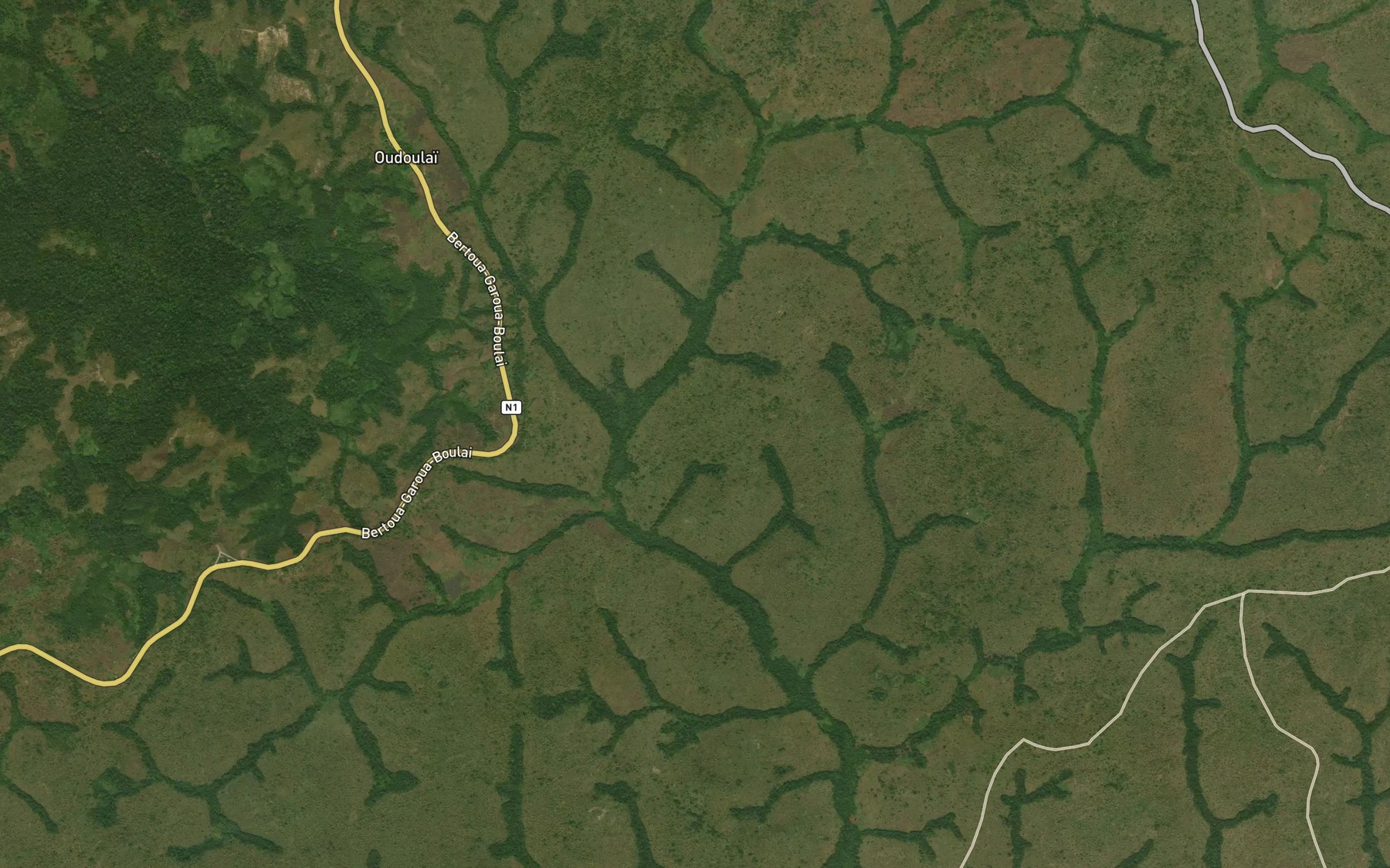 Satellite map of the Nganeso