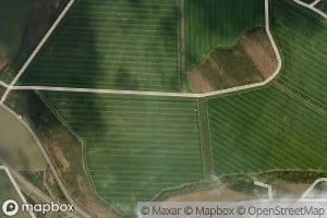 Grosser Driewitzer Teich