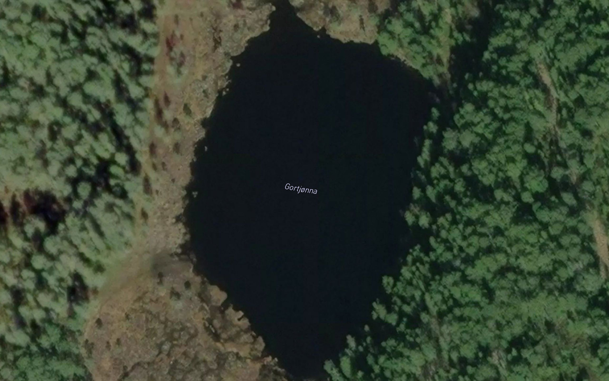 Gortjern
